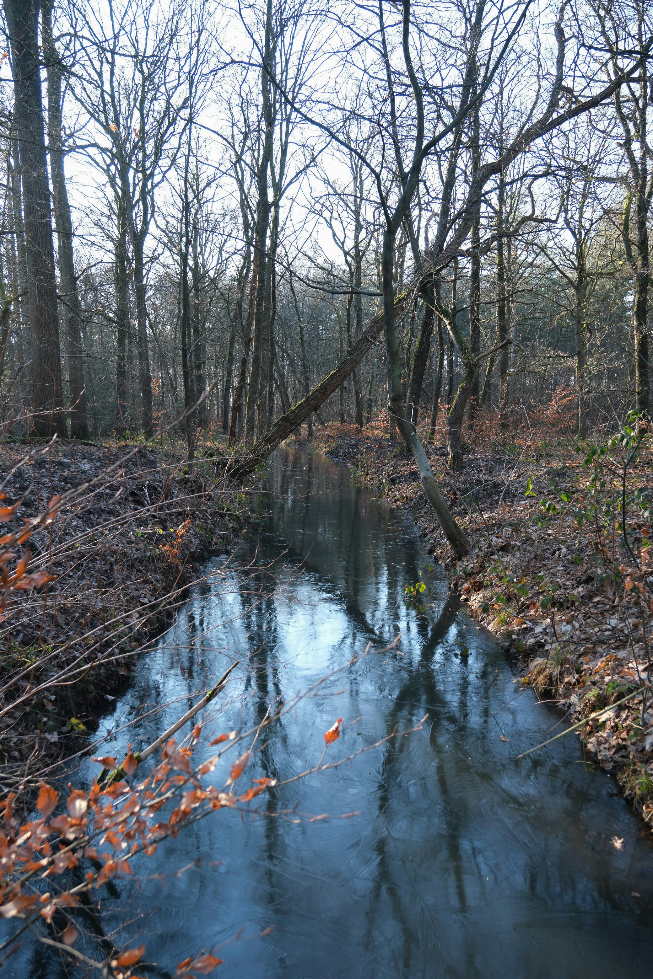 Photo by raulmermans