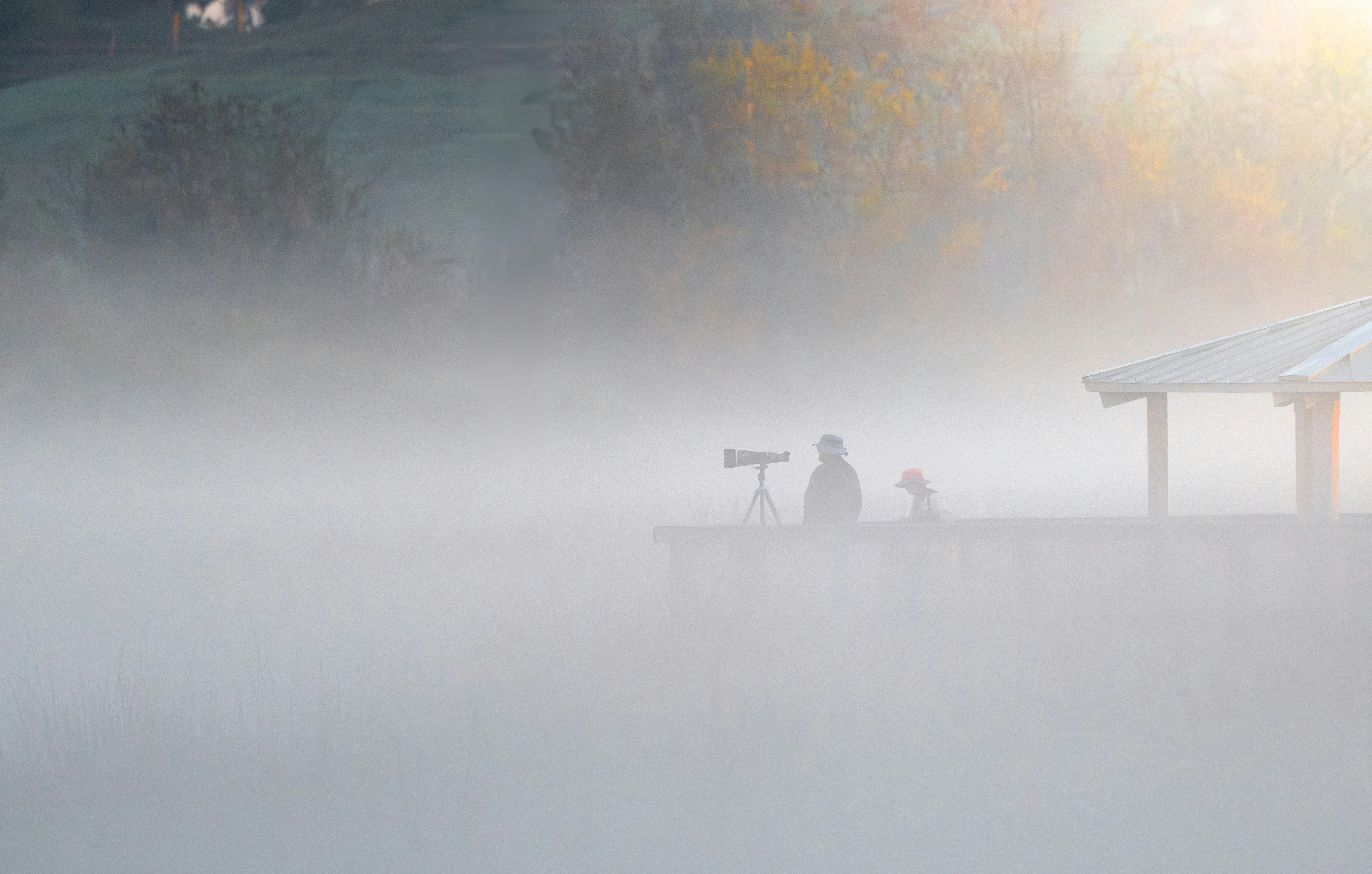 Misty morning with a person and dog on a dock.