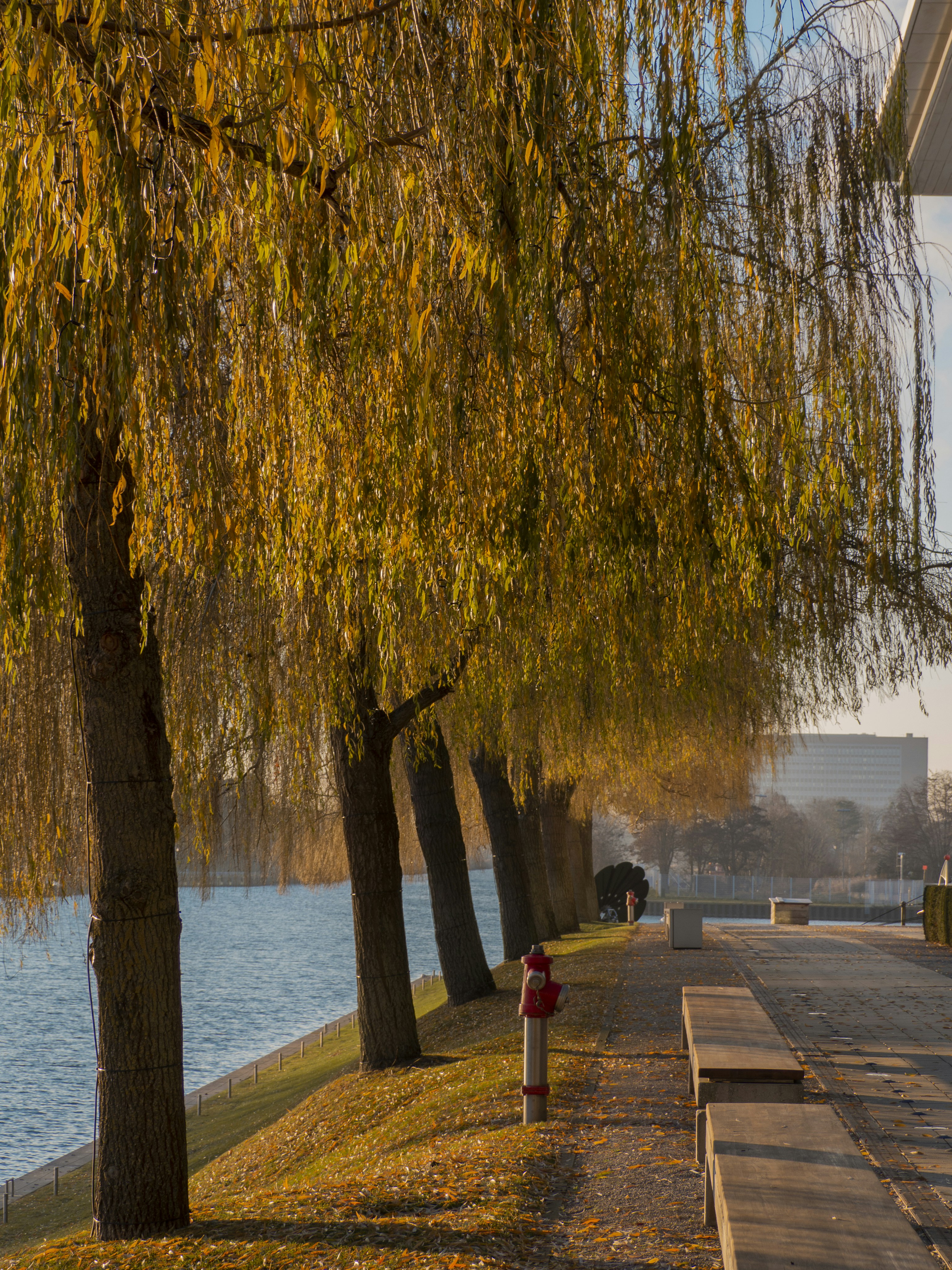 Photo by klajdmurataj