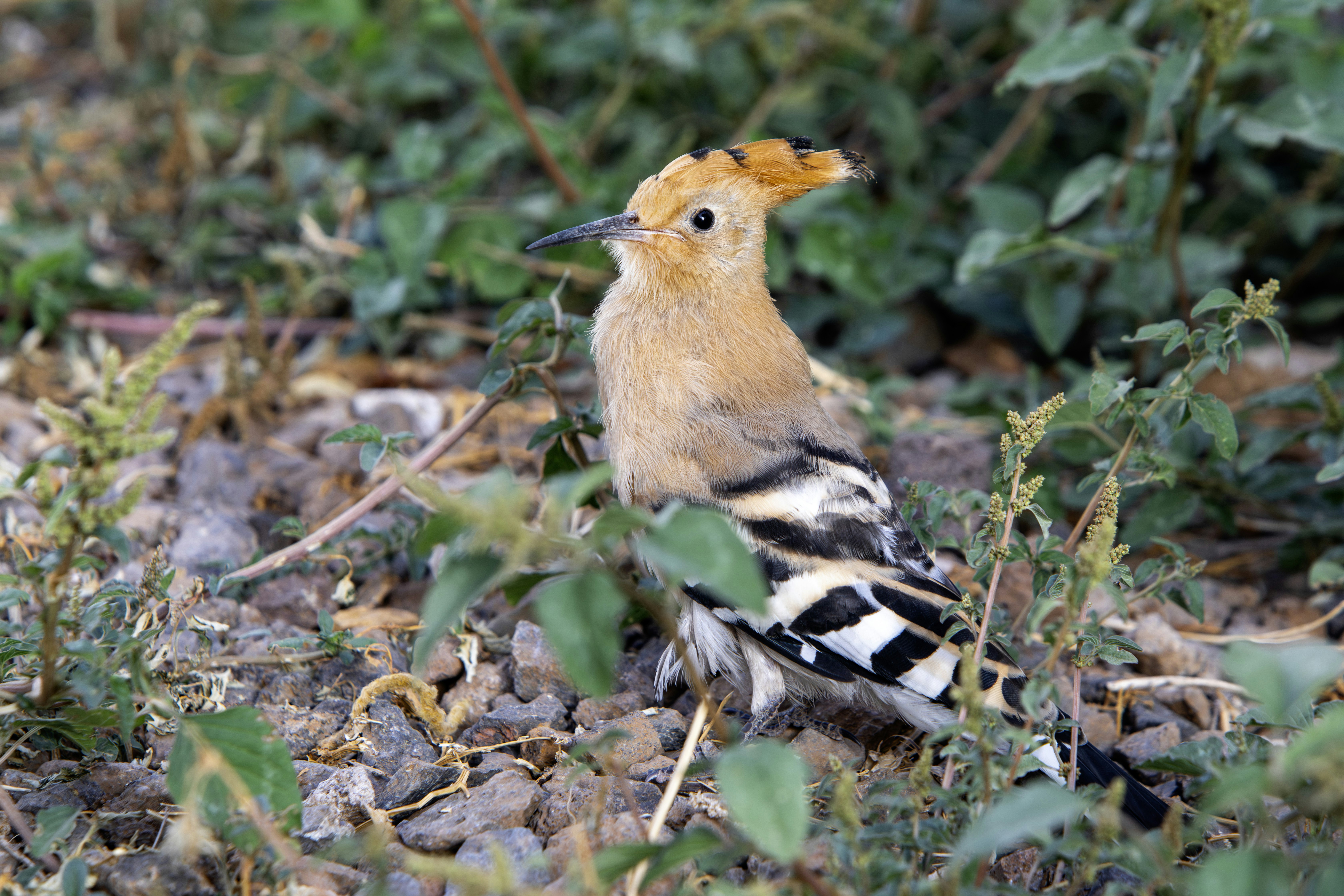 Photo by erik_karits