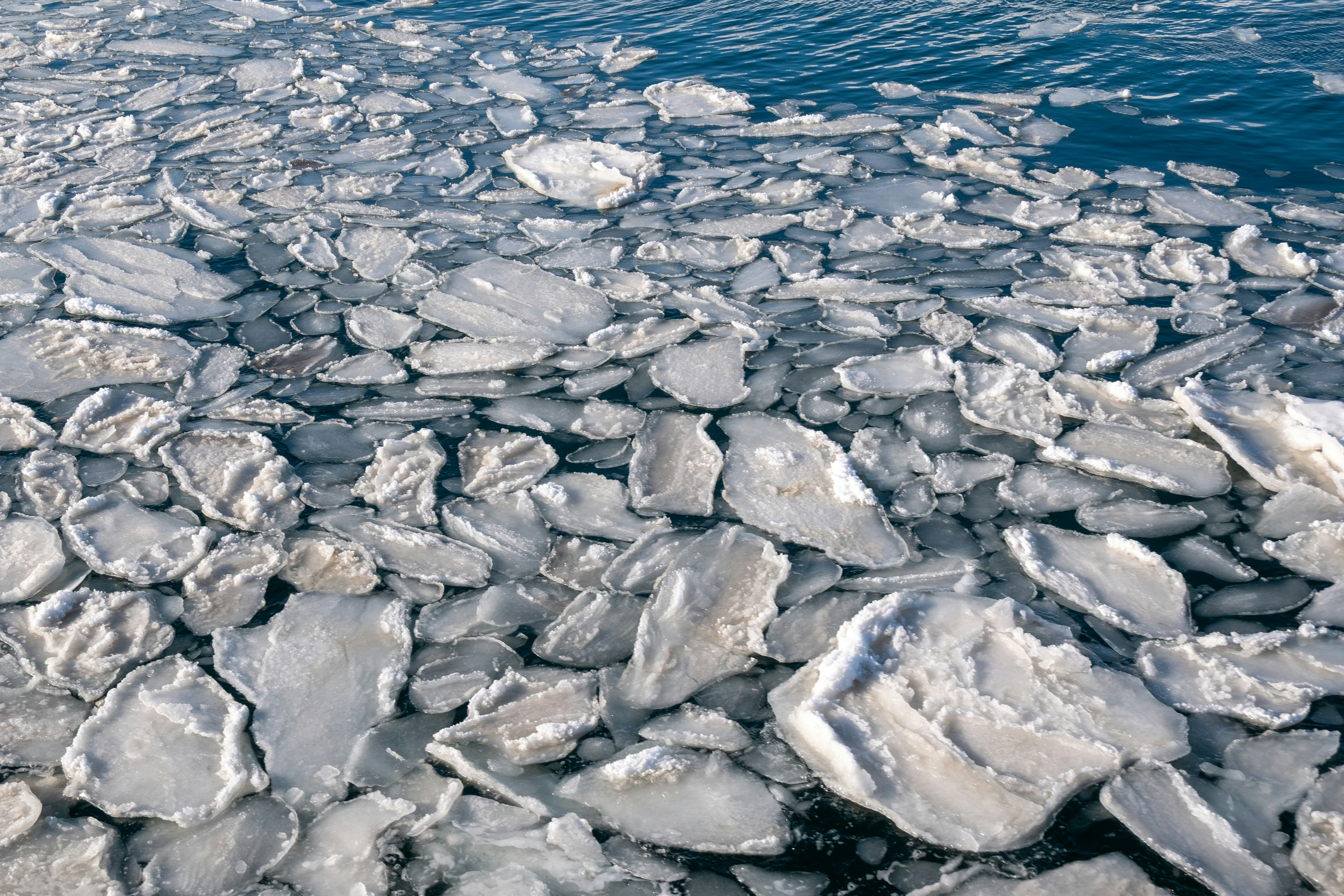 Photo by gunnarridder