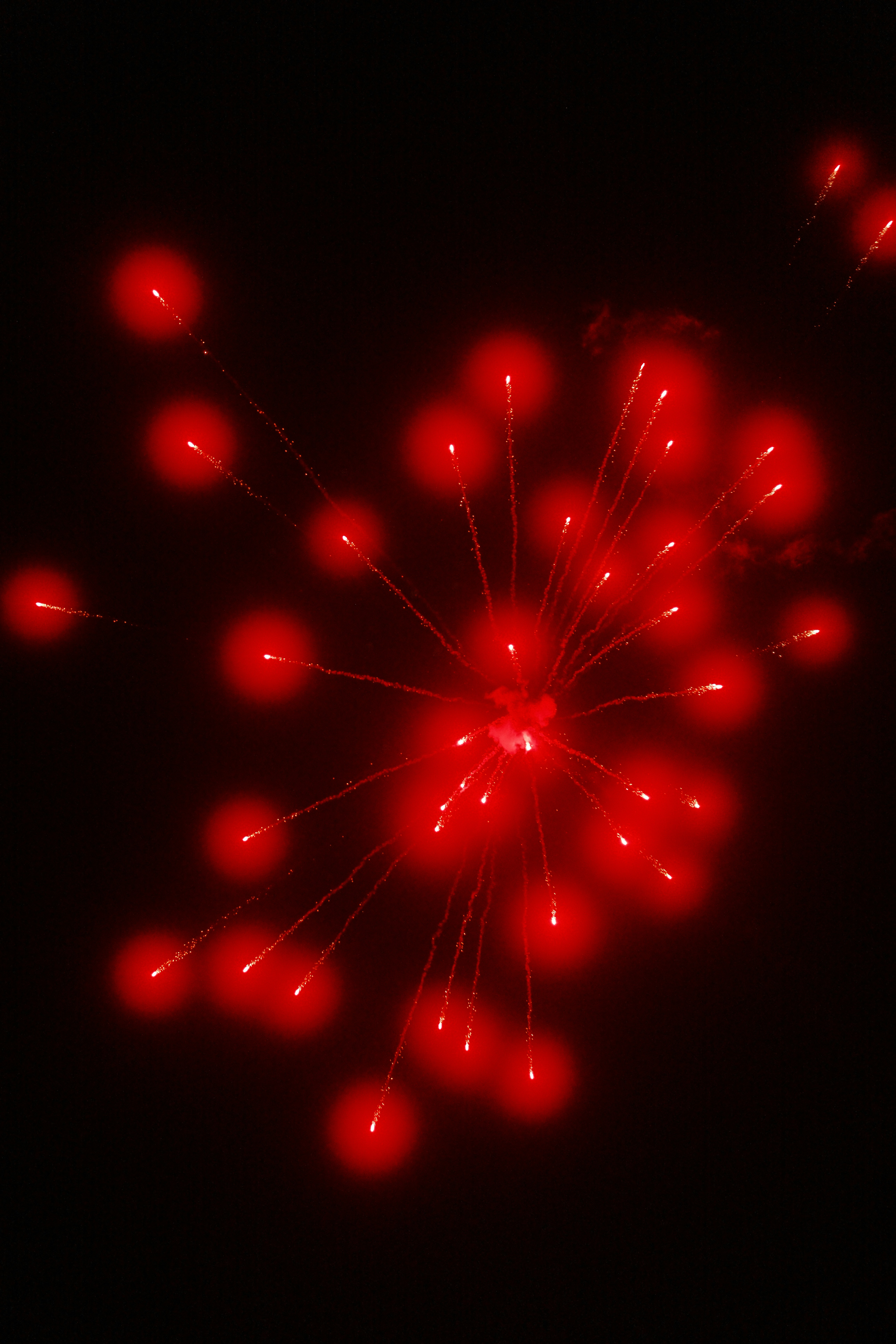 Photo by cranky_bear