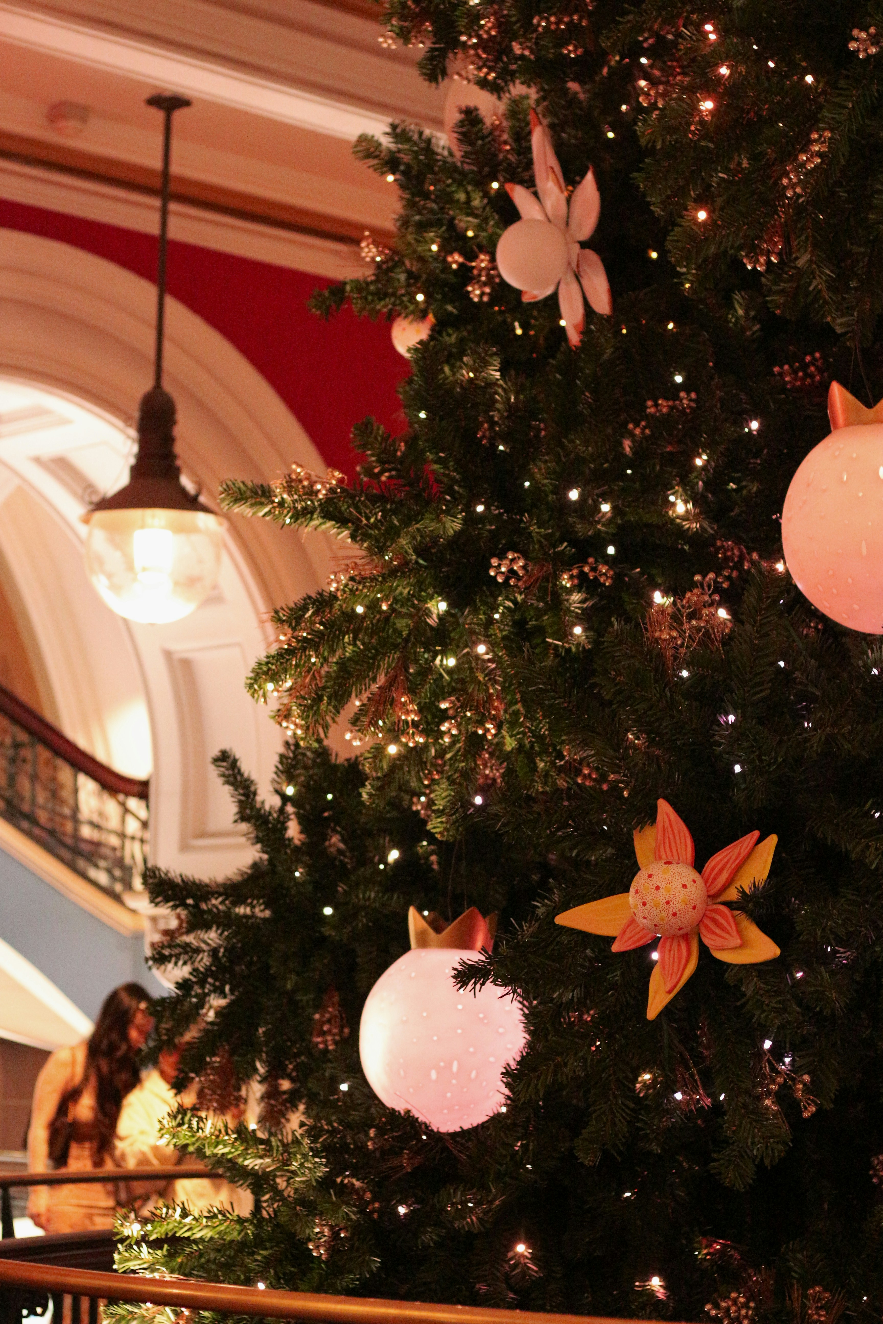 Photo by angie_baongoc