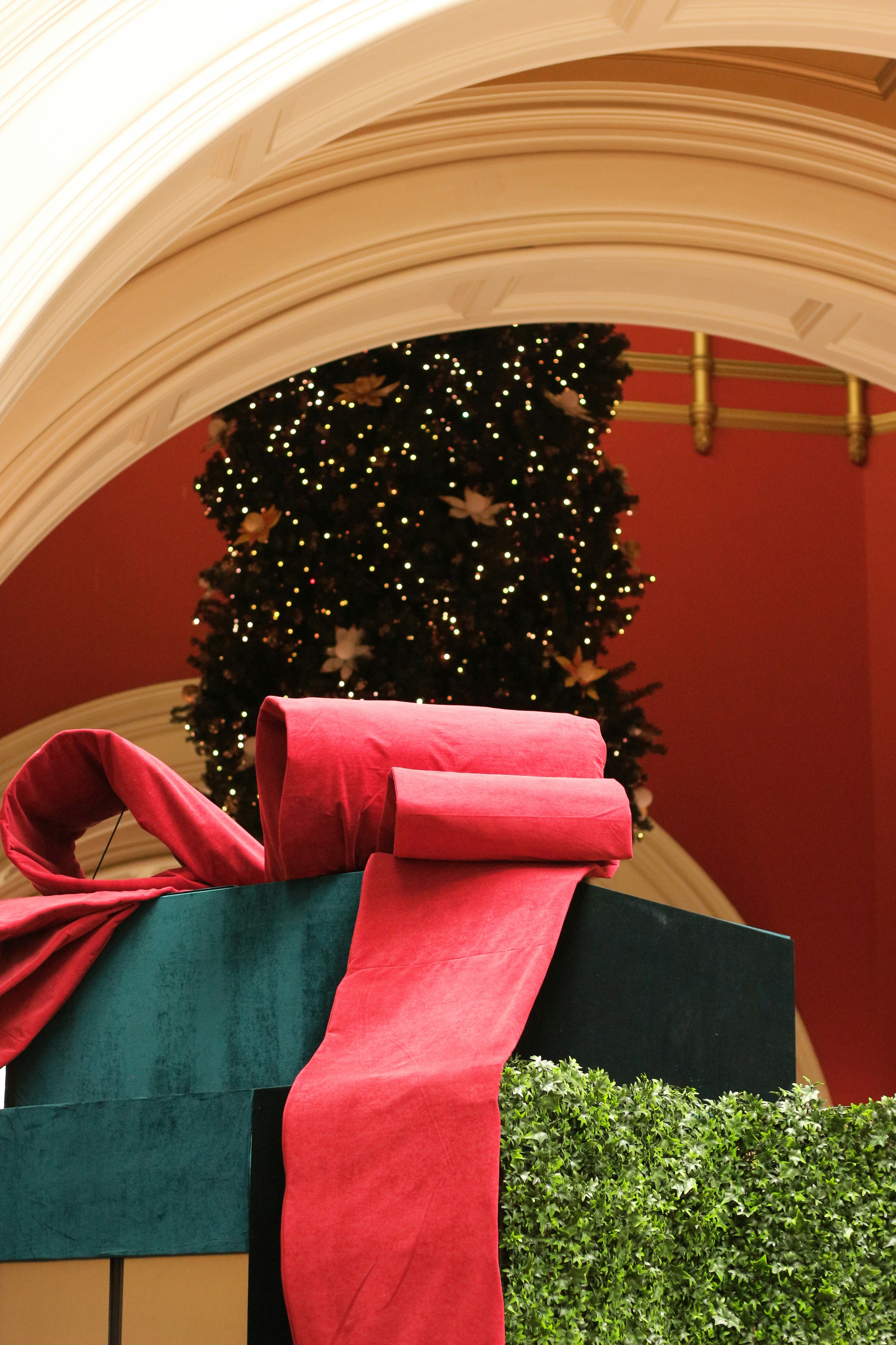 Large gift box with red ribbon and christmas tree.