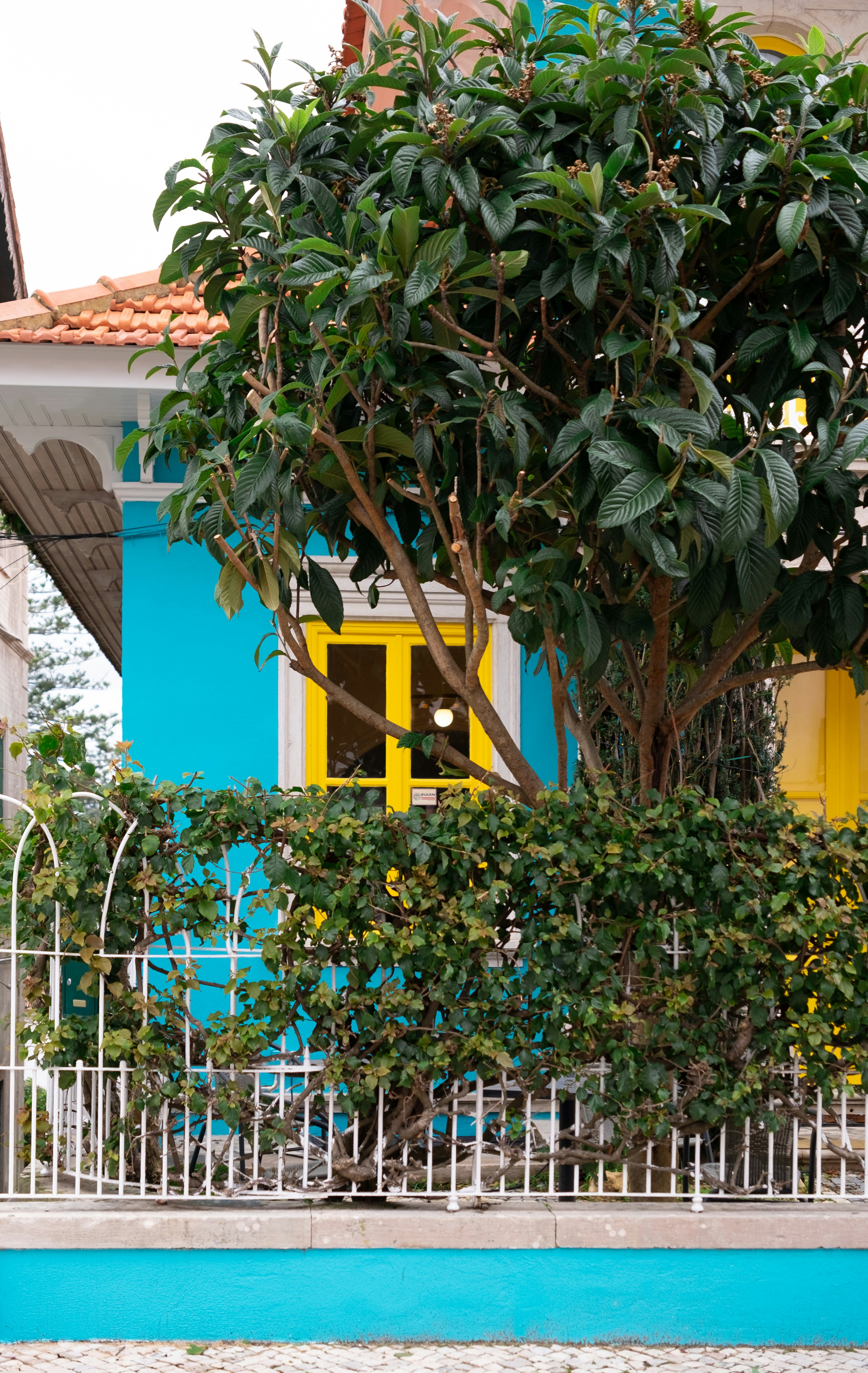 Bright blue house with yellow window and green tree.