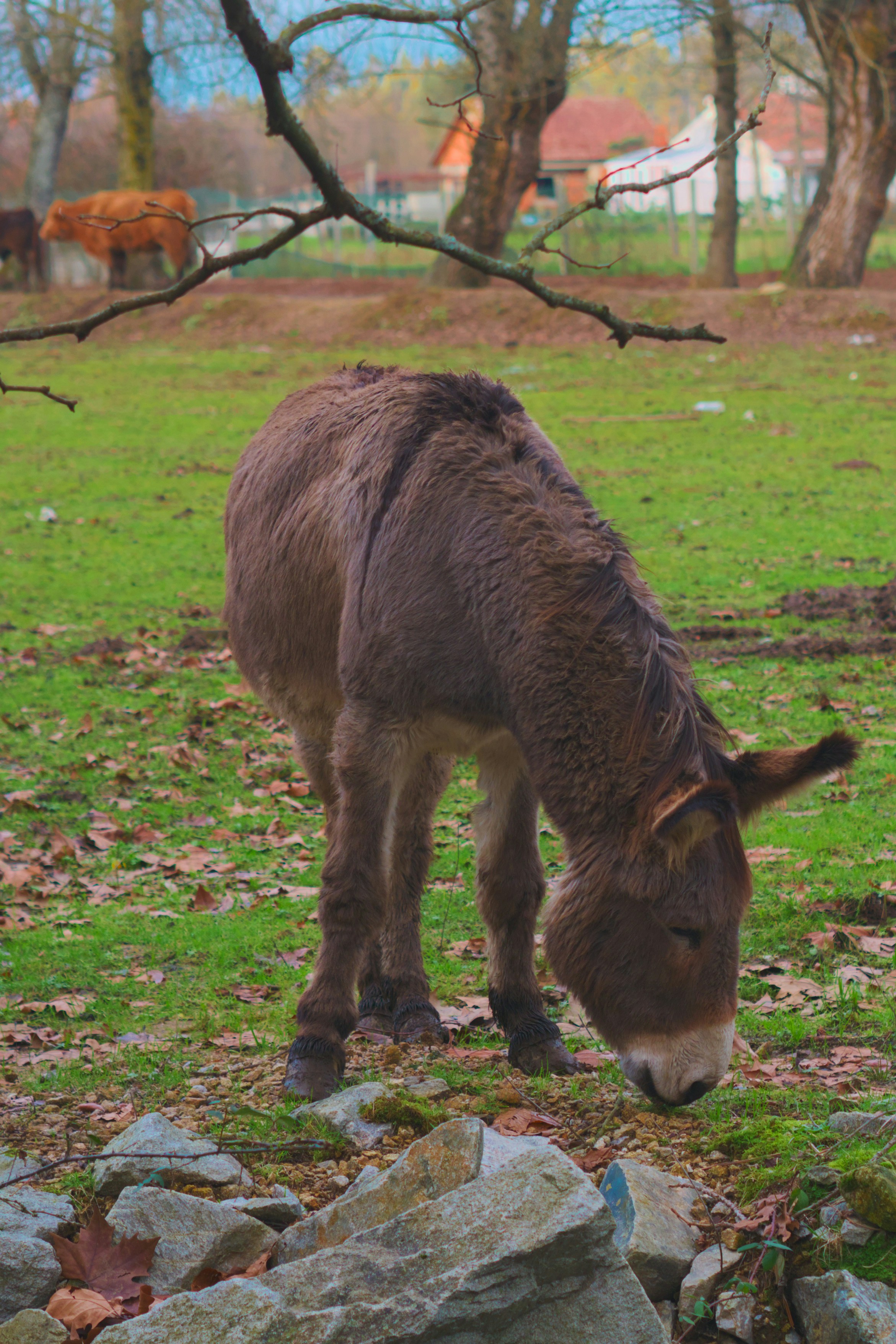 Photo by speeddragon35