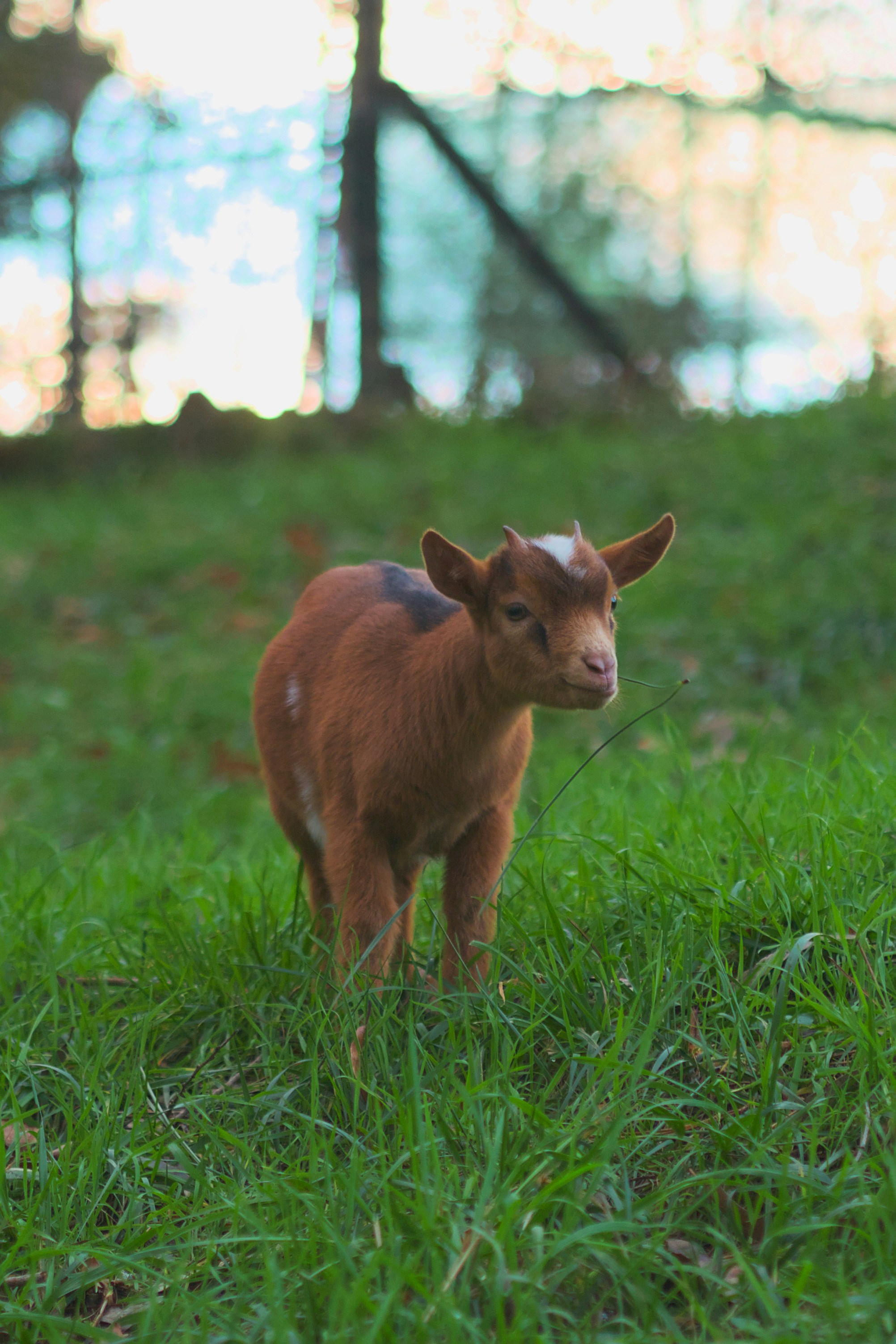 Photo by speeddragon35