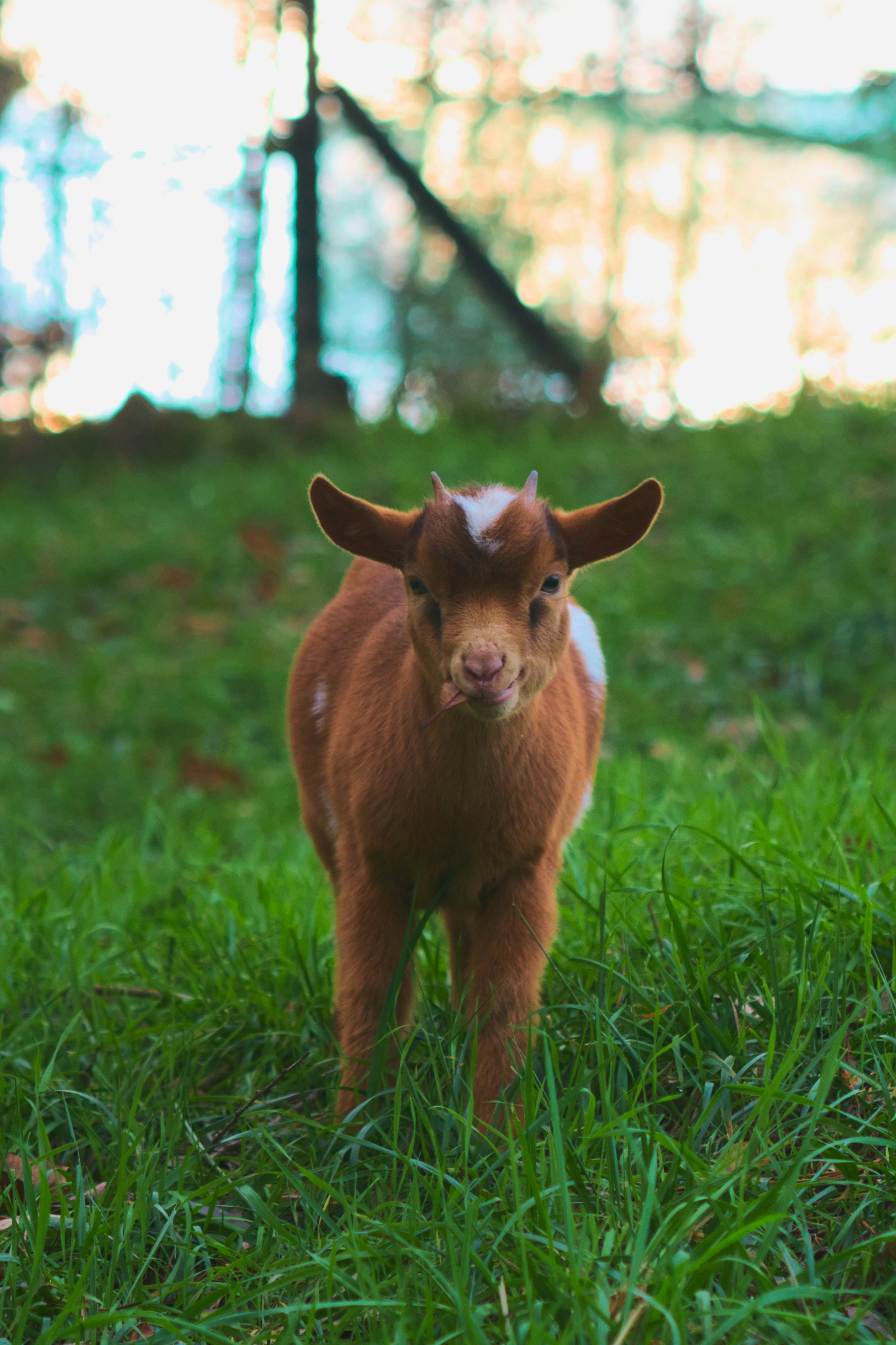 Photo by speeddragon35