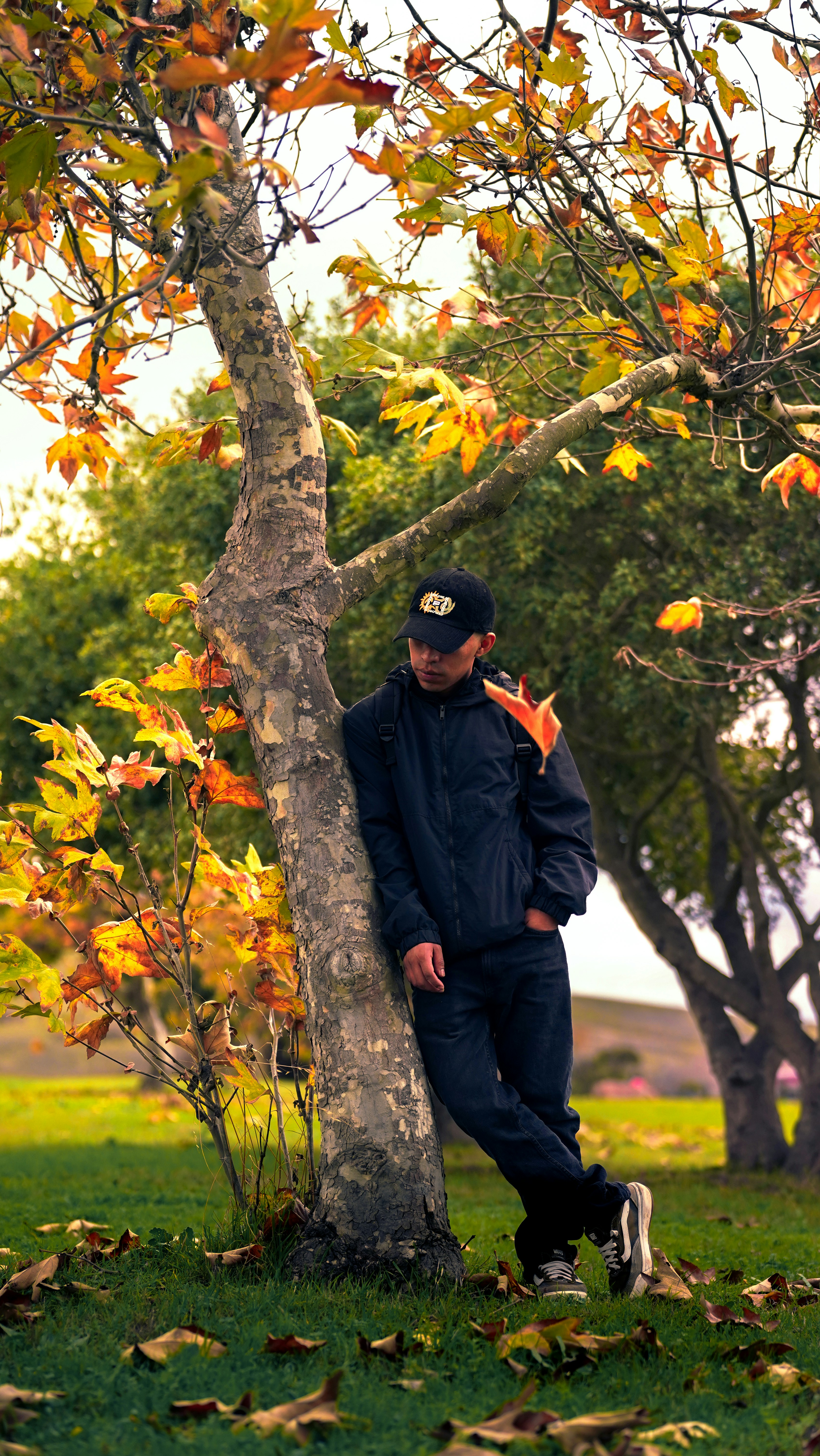 Mann, der sich an einen Baum im Herbstpark lehnt