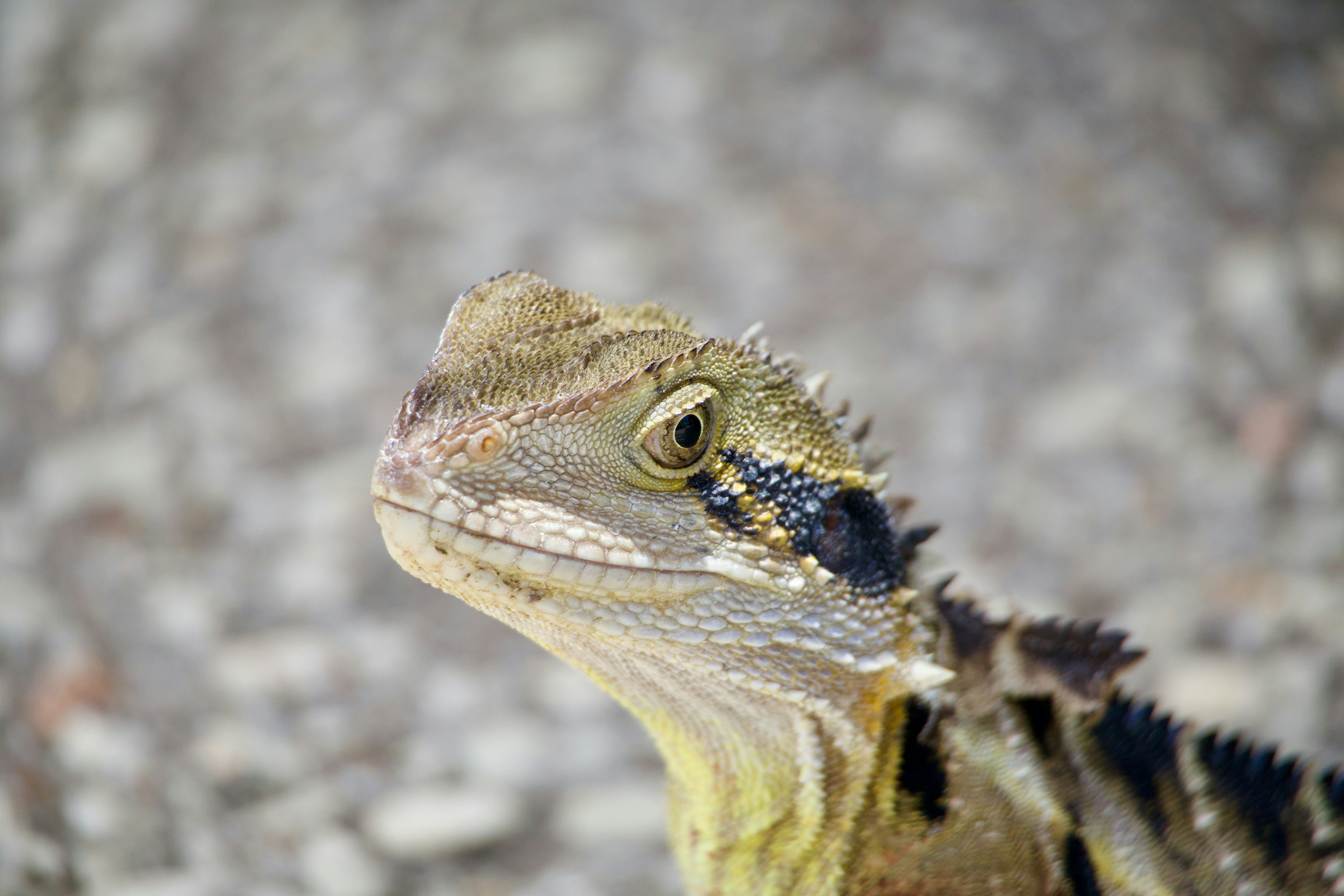 Photo by the_afternoon_photographer