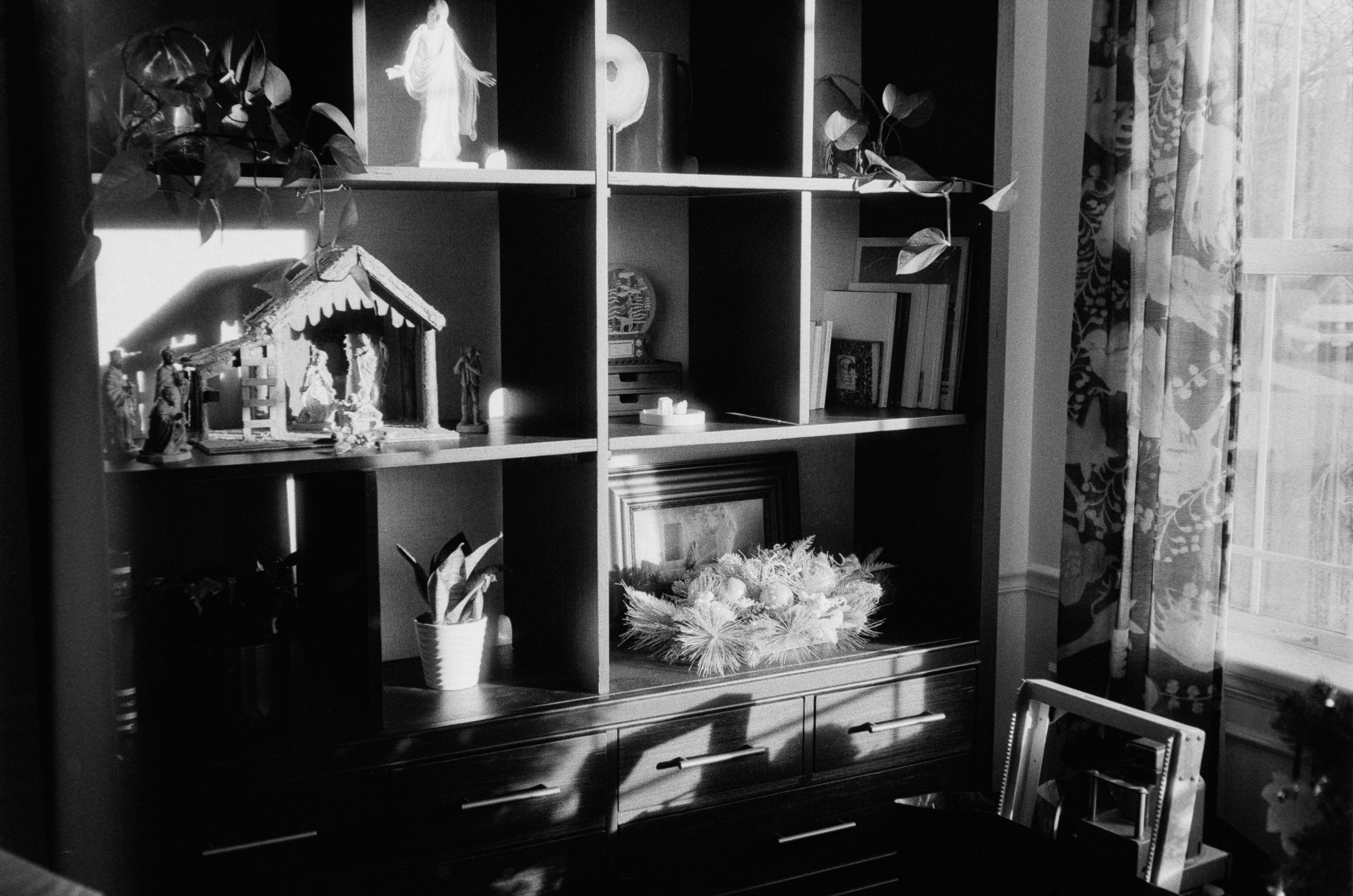 Photo by theguccer2100