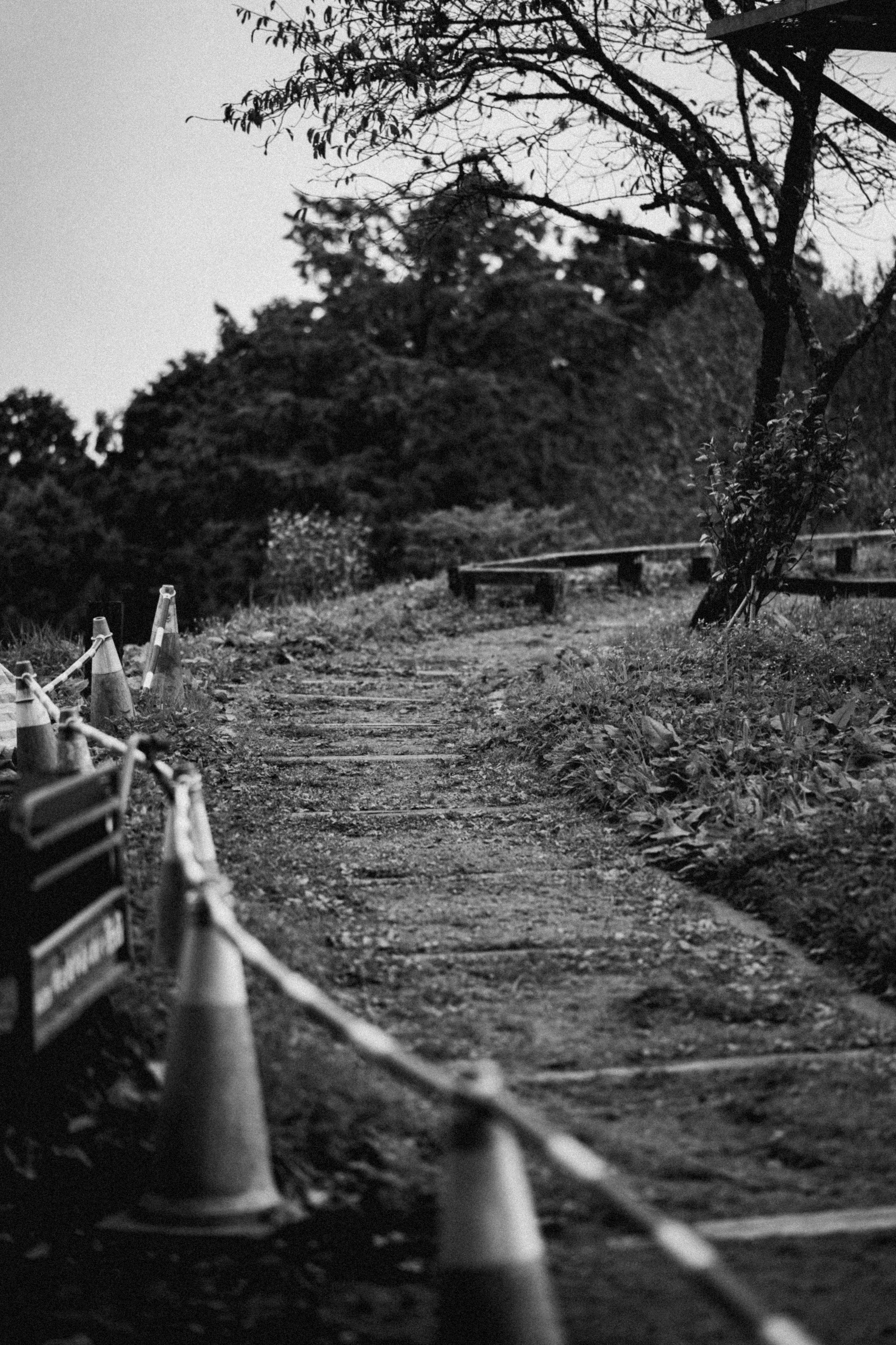 Photo by thejunefire