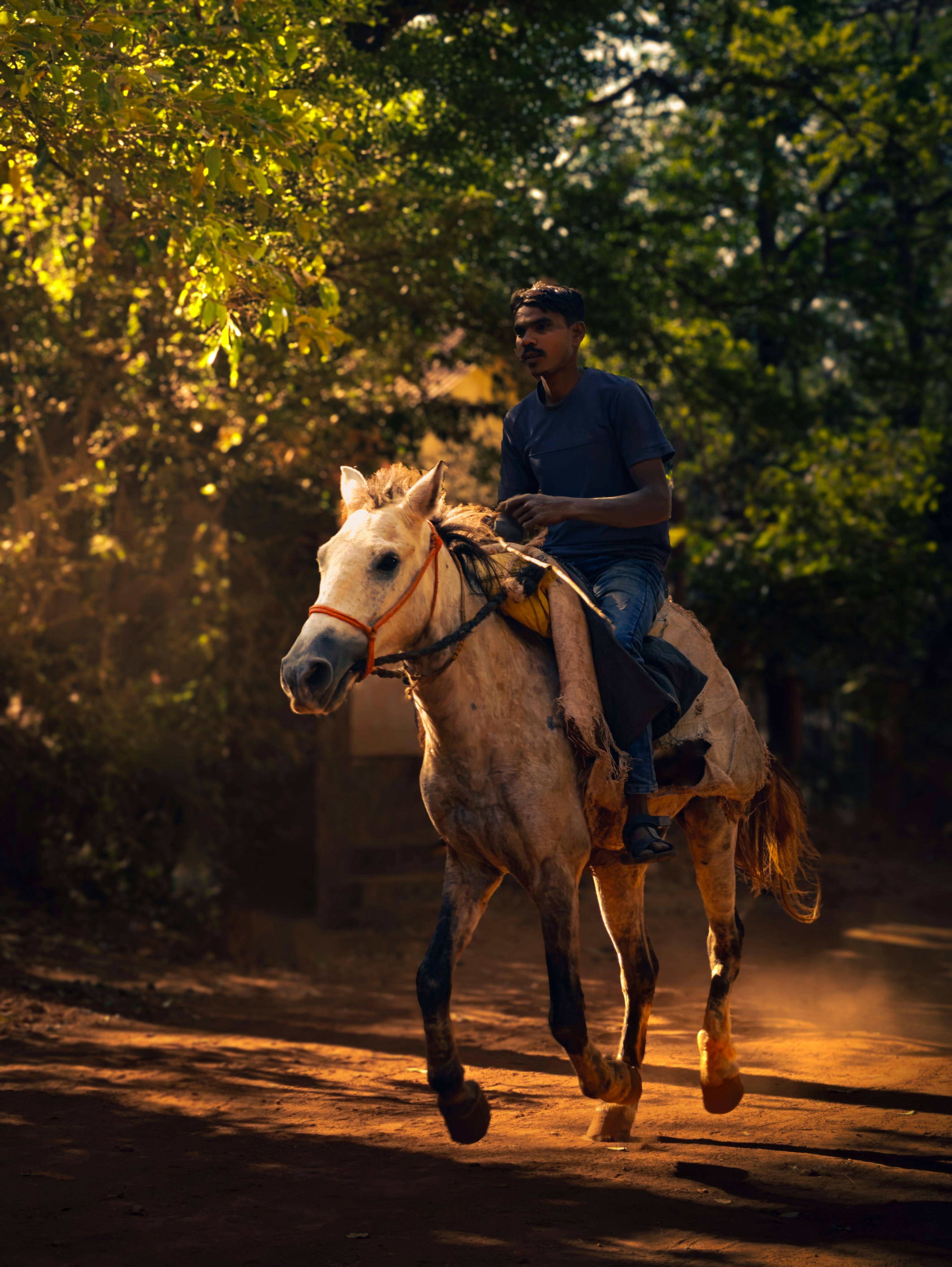 Man riding a horse on a dusty path.