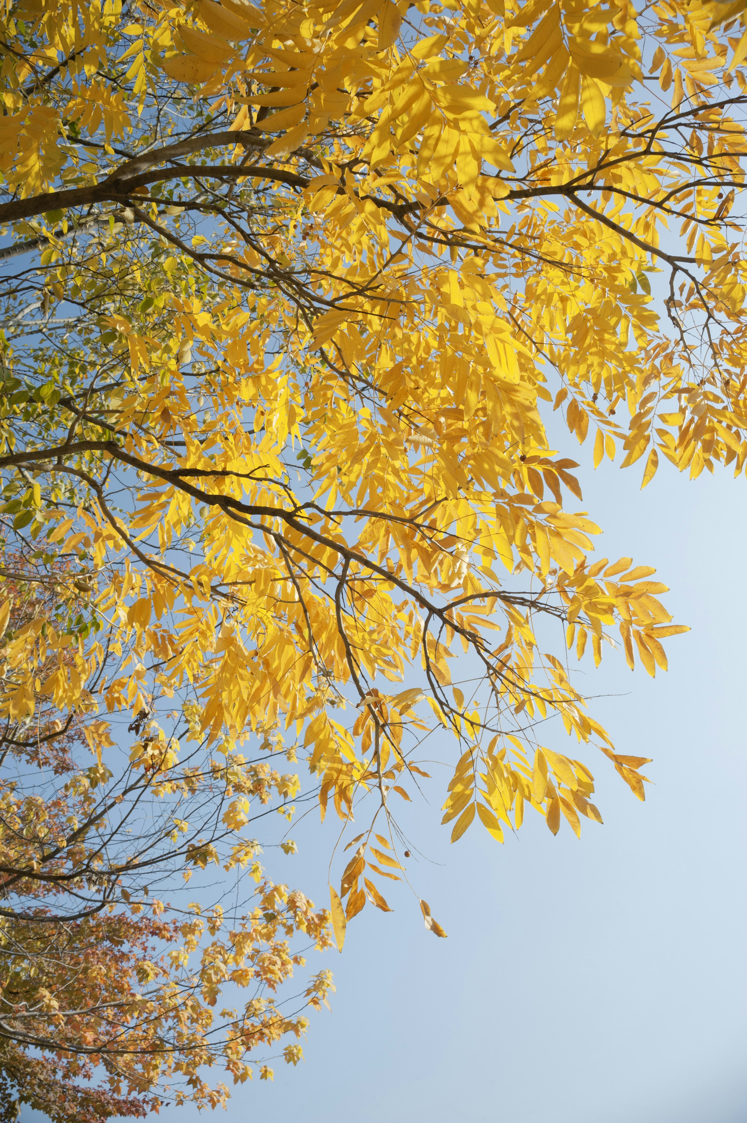 Photo by kevinwang413156