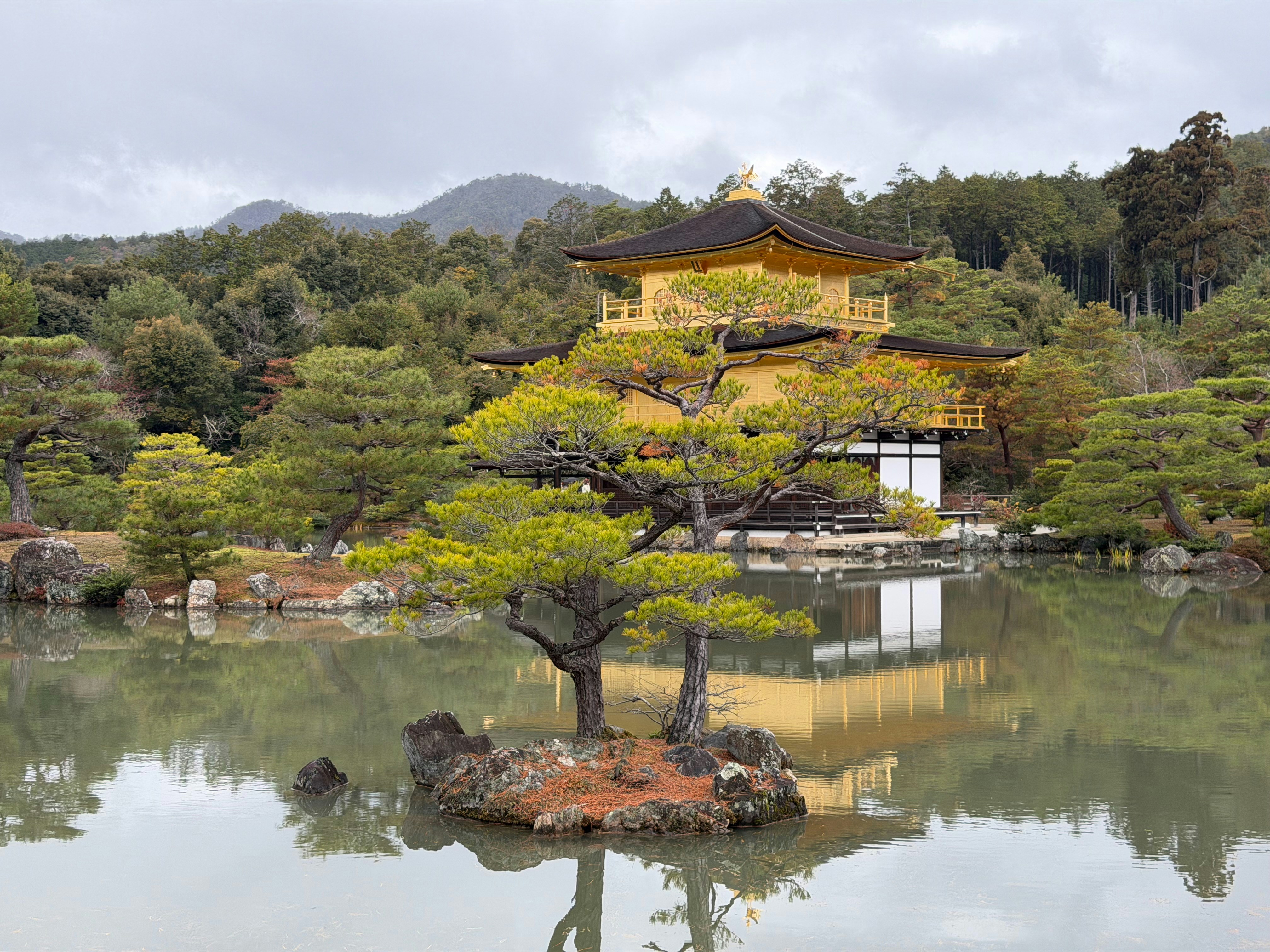 Photo by thegreatpamtaro