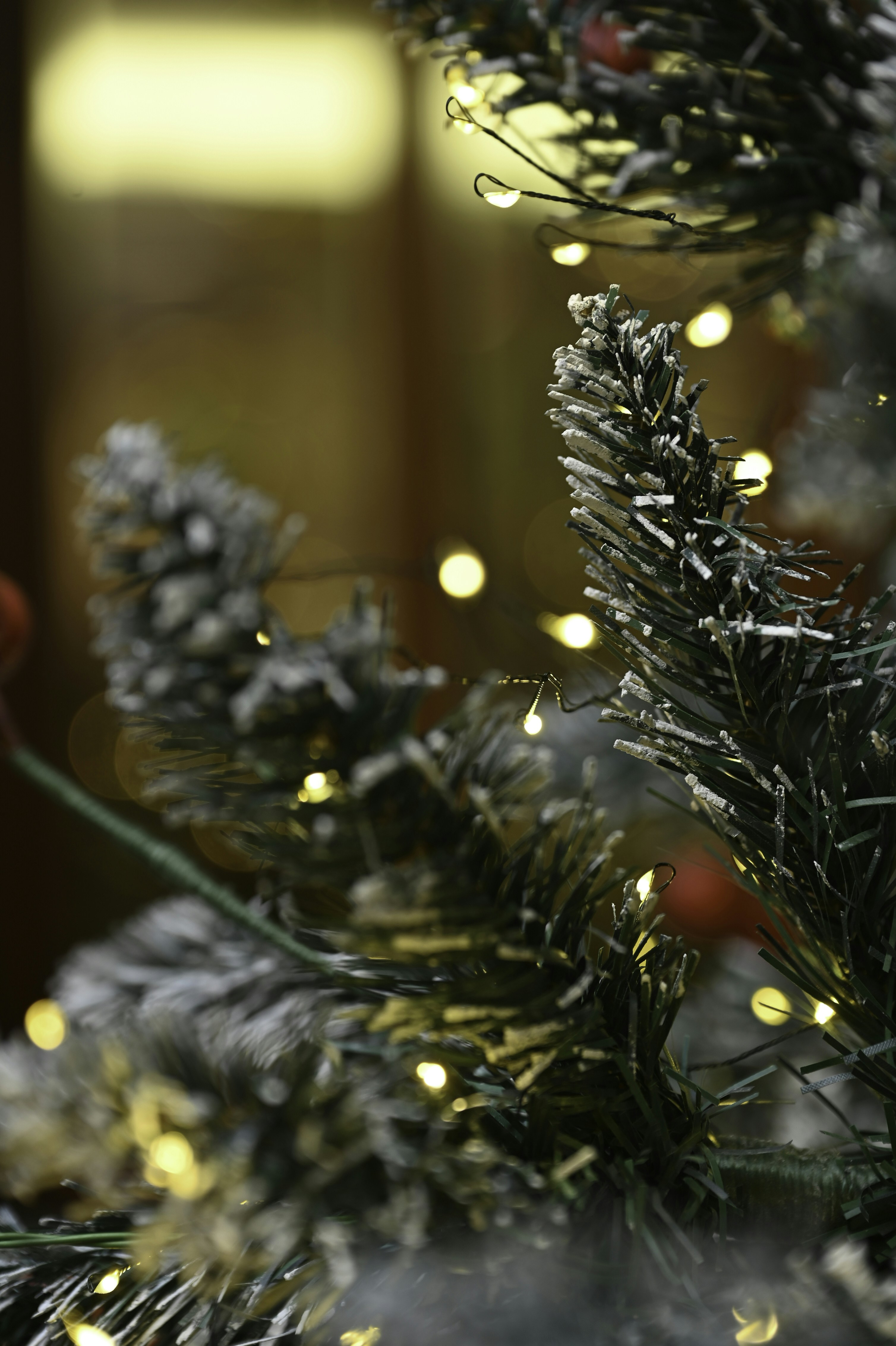 Photo by kmacontherun