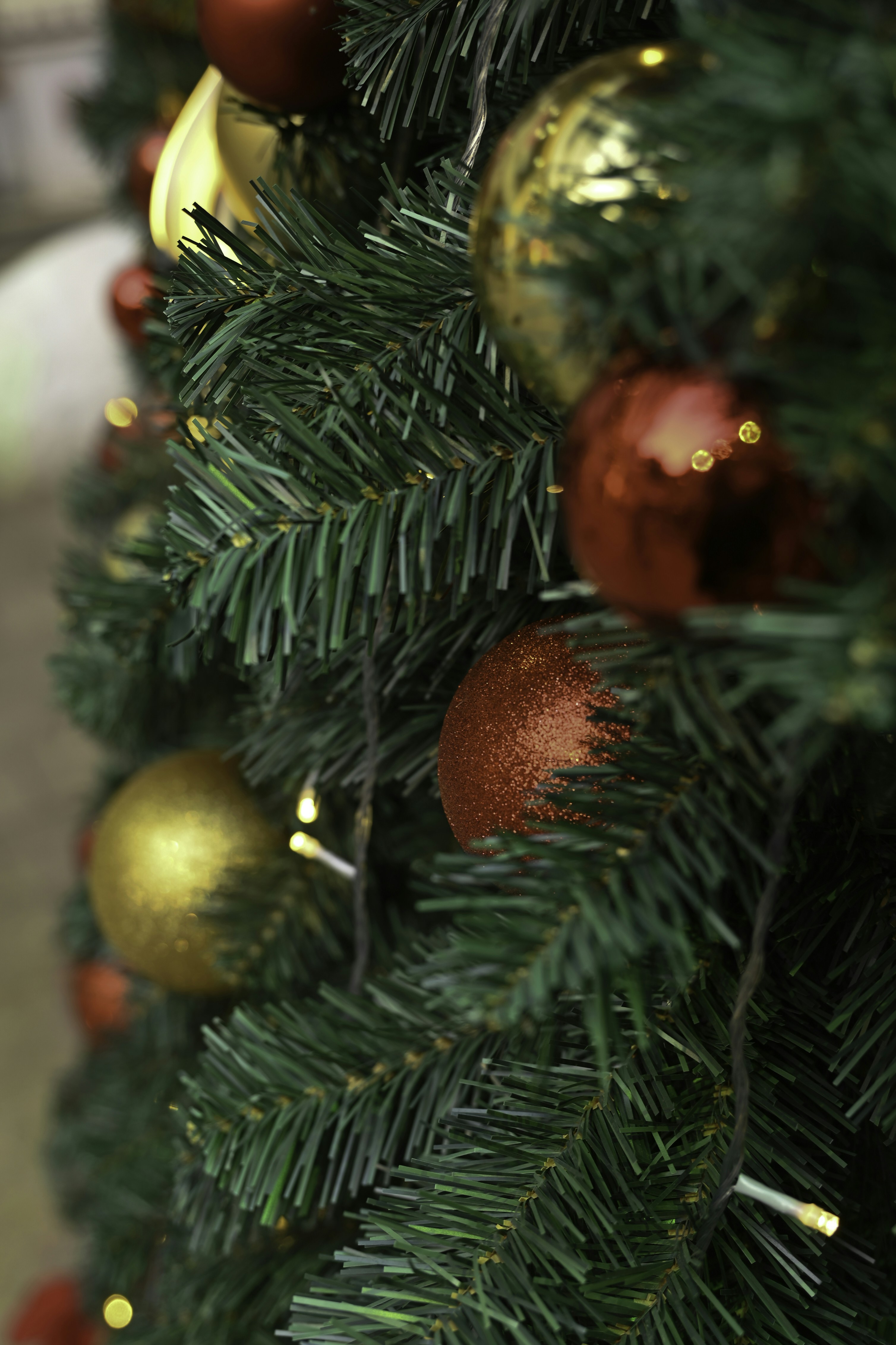 Photo by kmacontherun