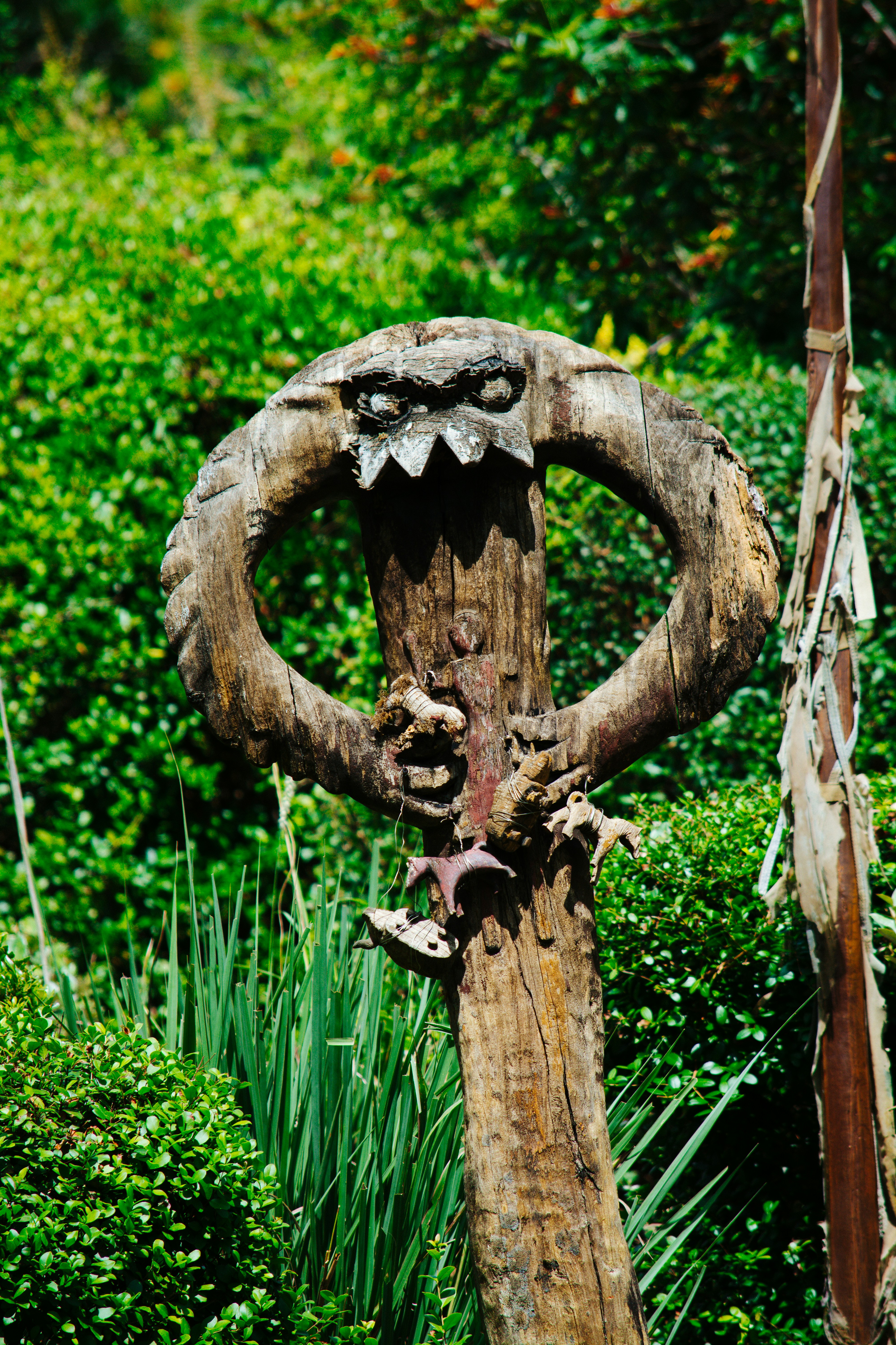 Wooden totem with carved monstrous face in lush green foliage