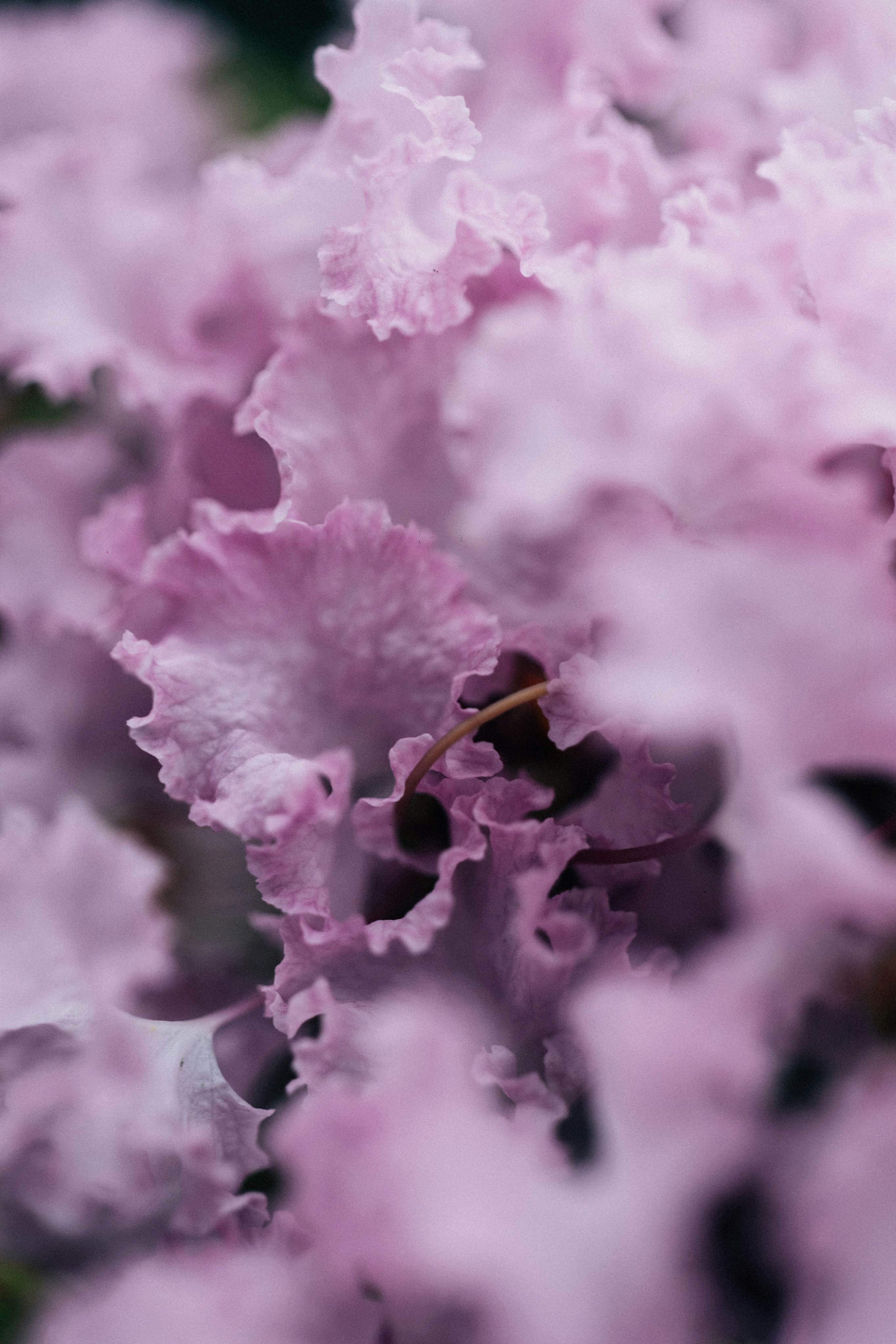 Photo by tsuyoshikozu