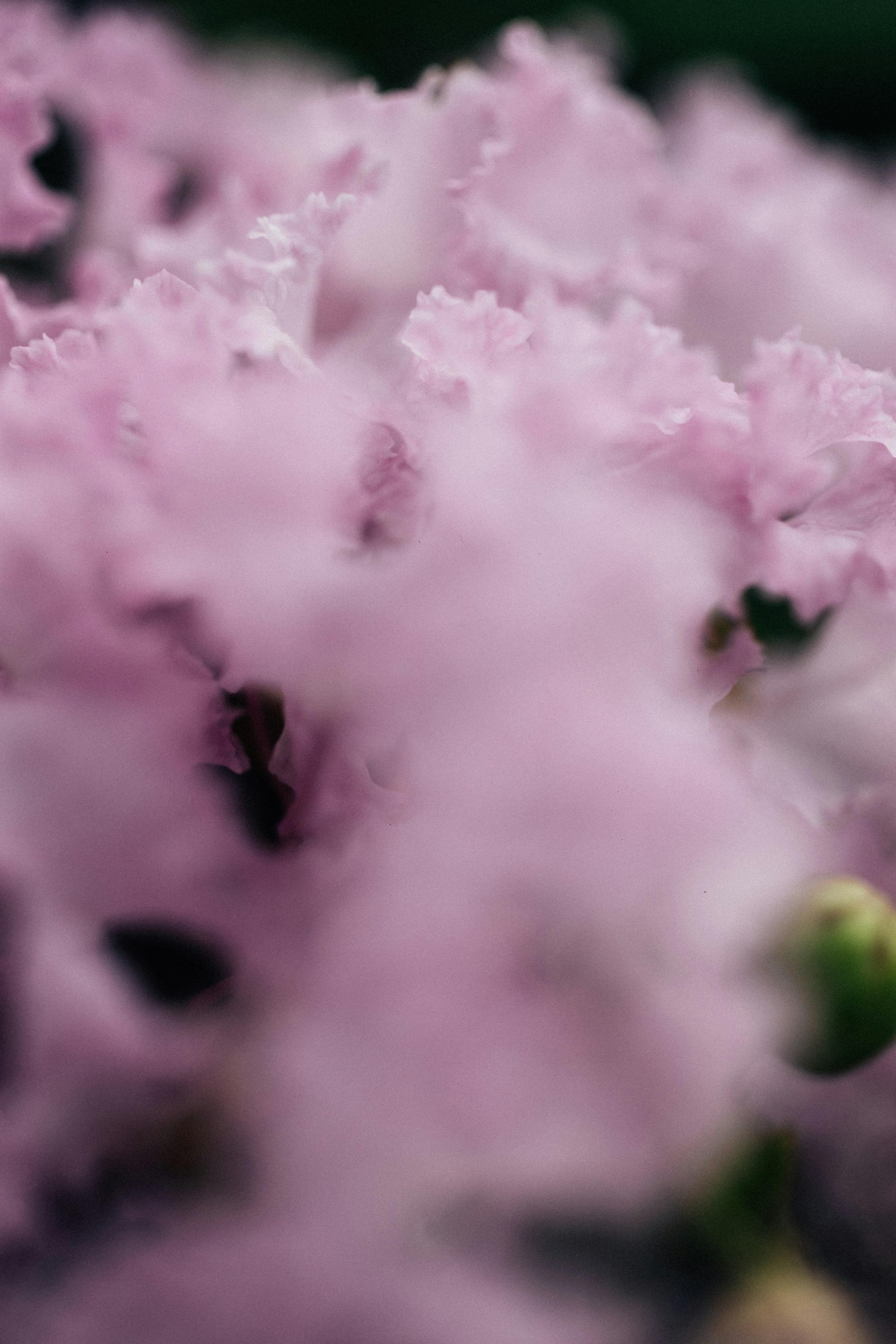 Photo by tsuyoshikozu