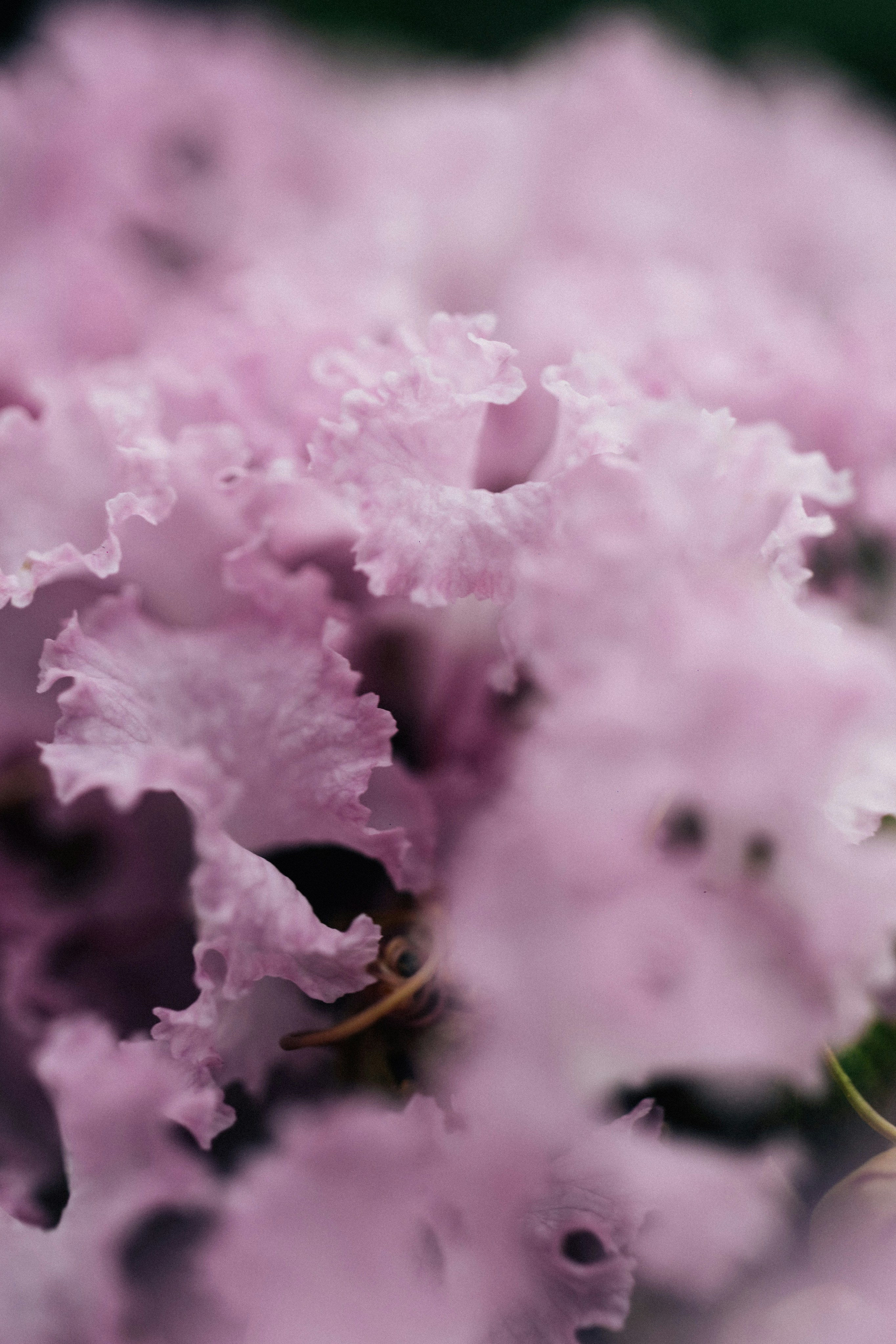 Photo by tsuyoshikozu