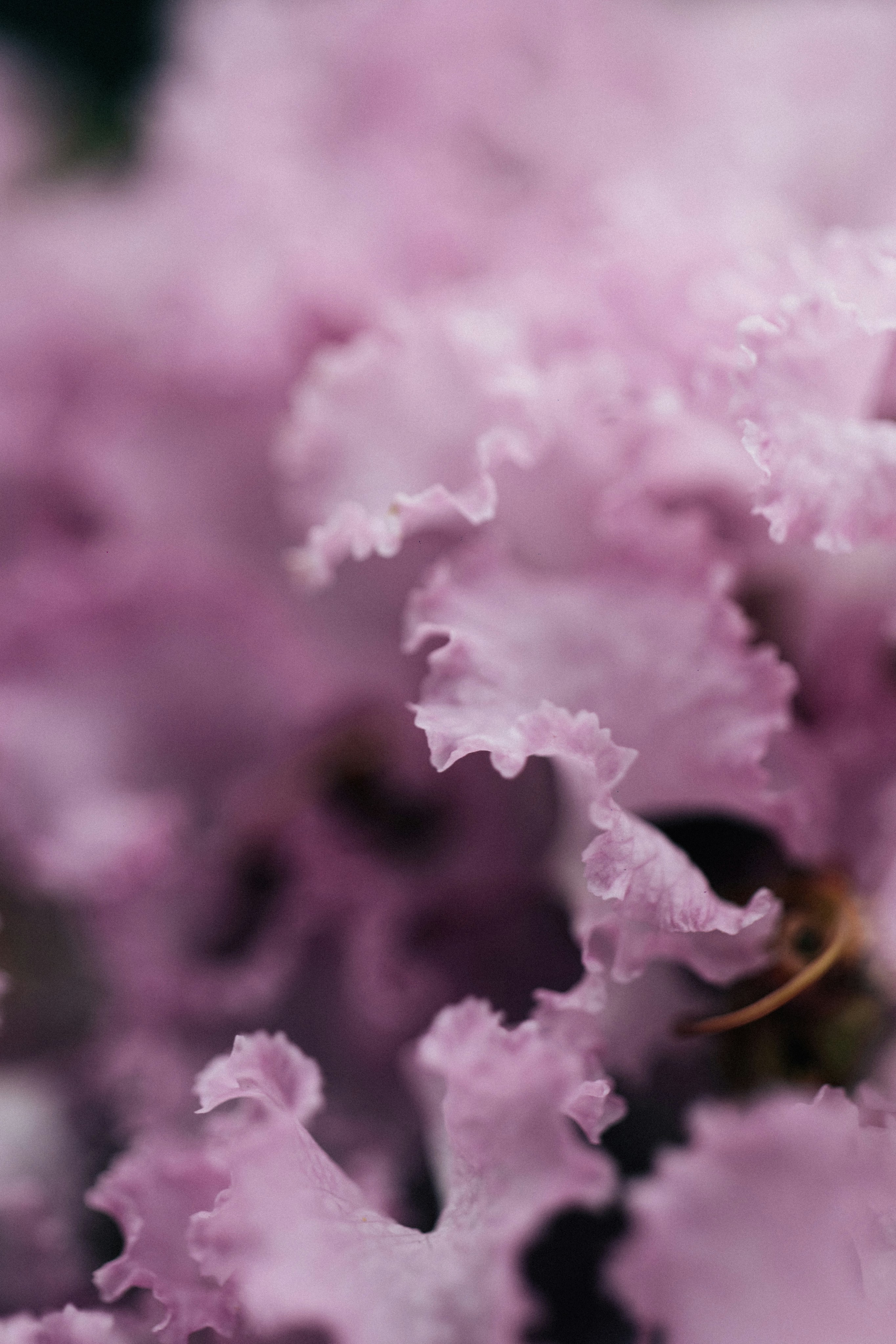 Photo by tsuyoshikozu