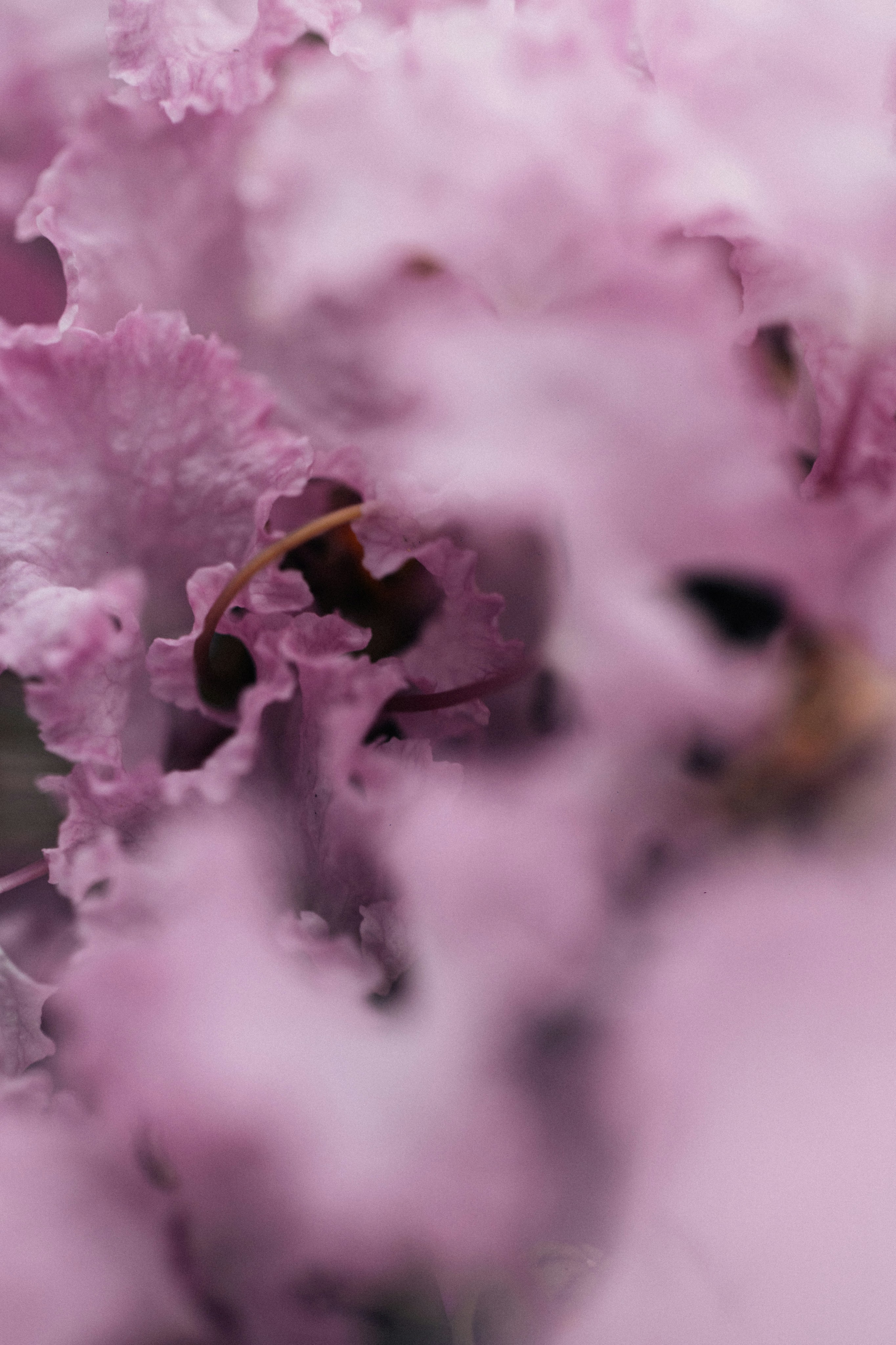 Photo by tsuyoshikozu