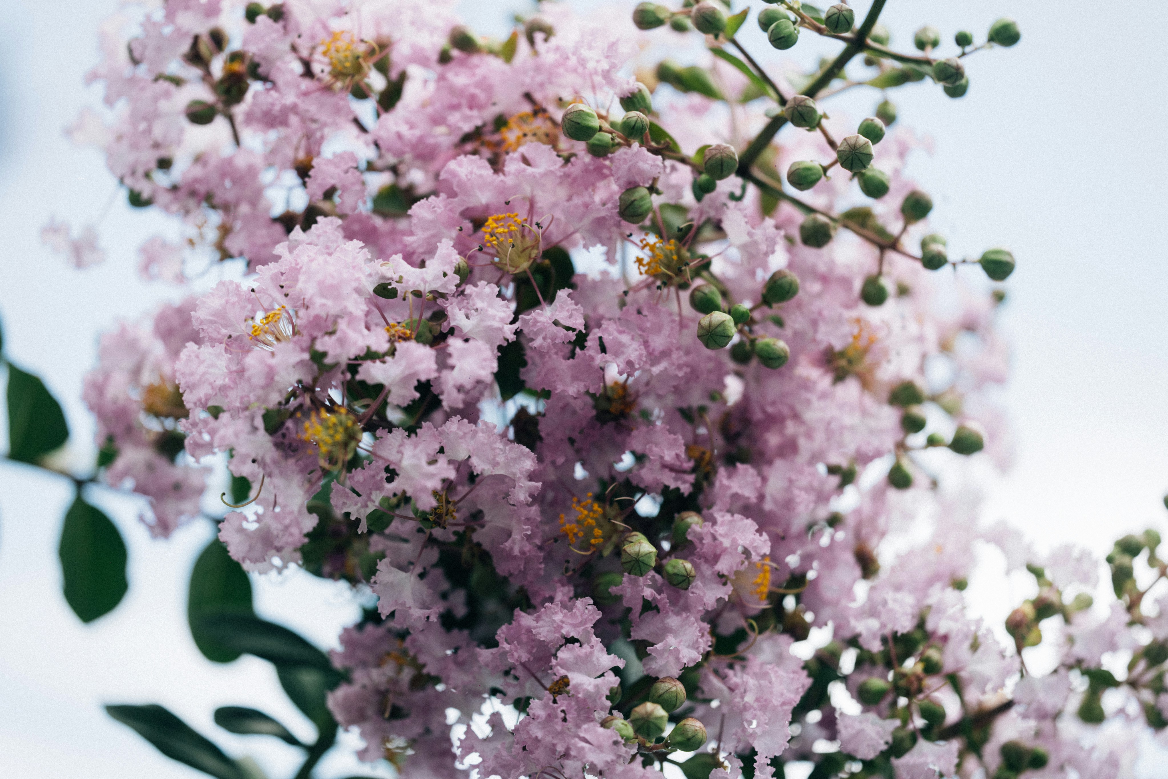 Photo by tsuyoshikozu