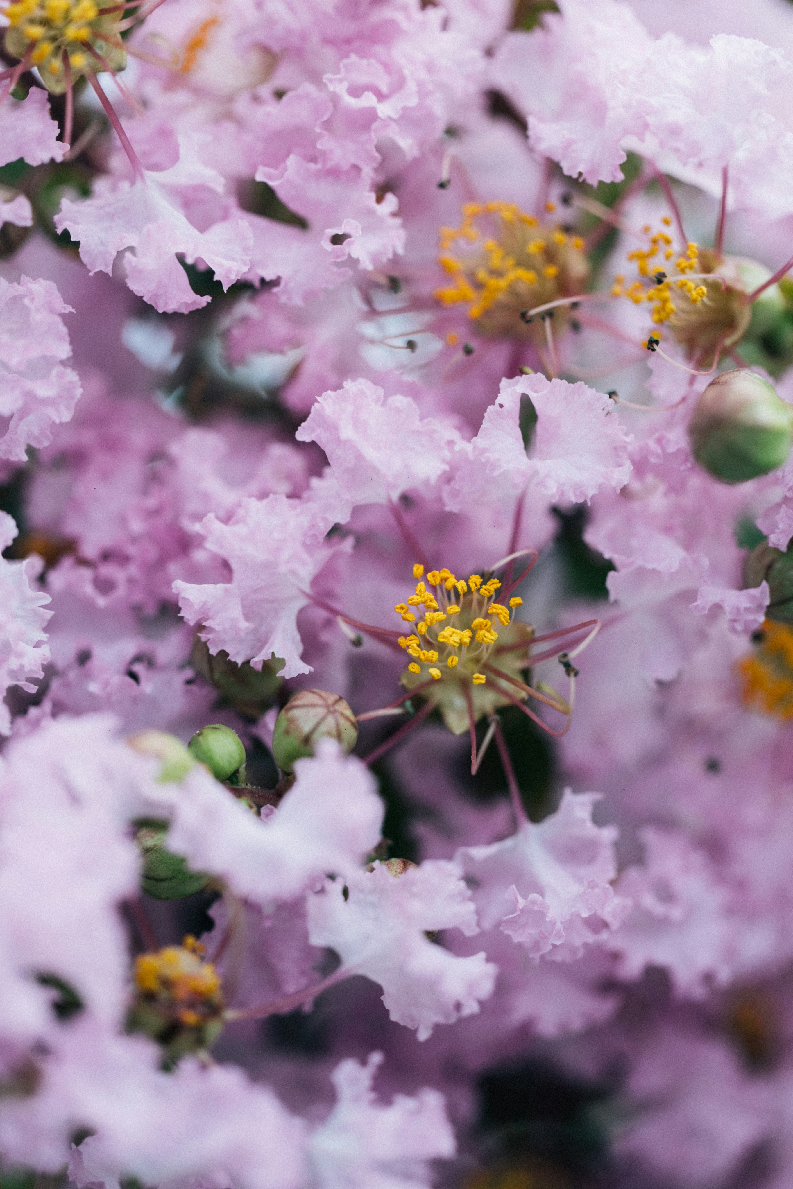 Photo by tsuyoshikozu