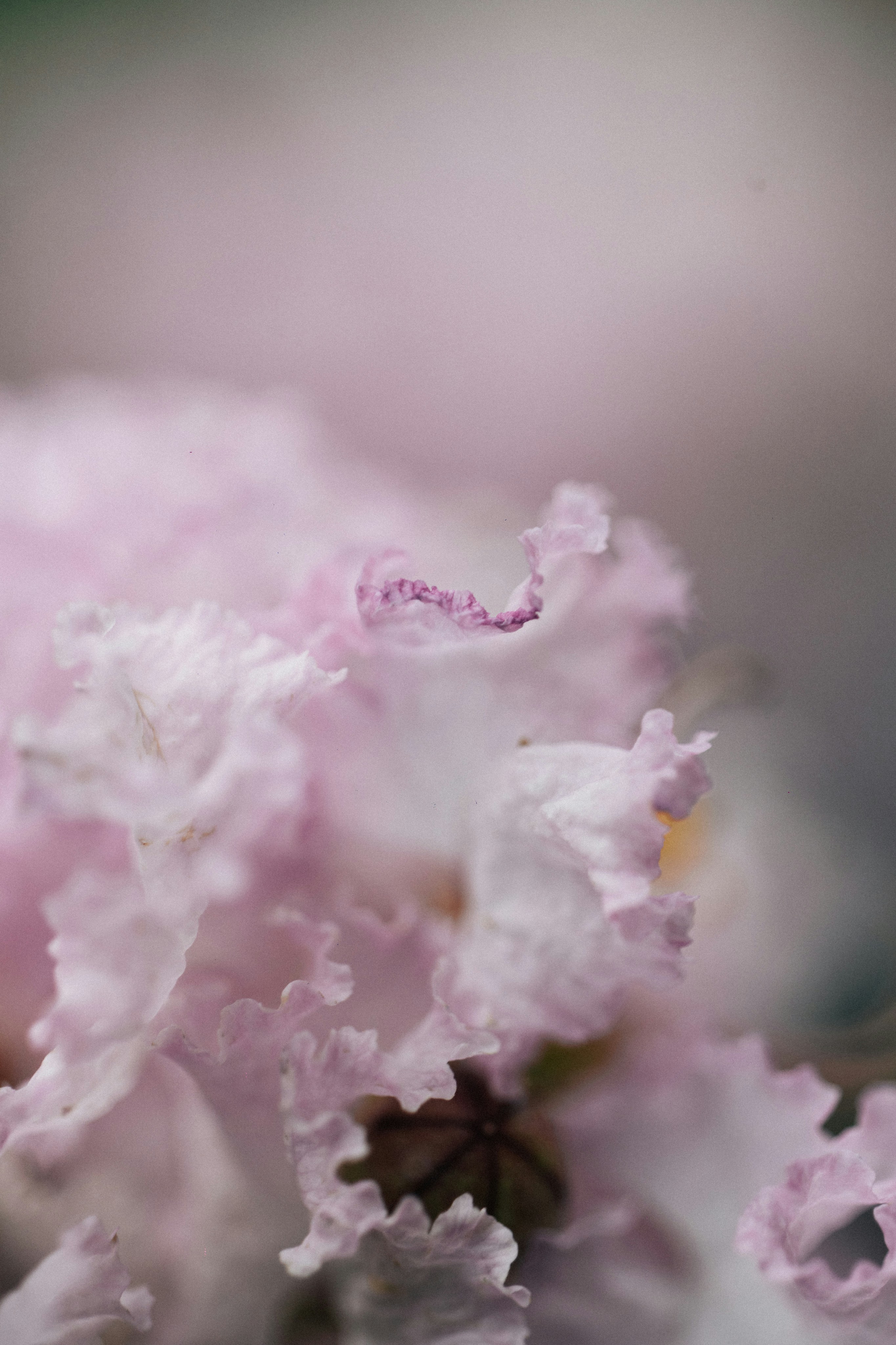 Photo by tsuyoshikozu