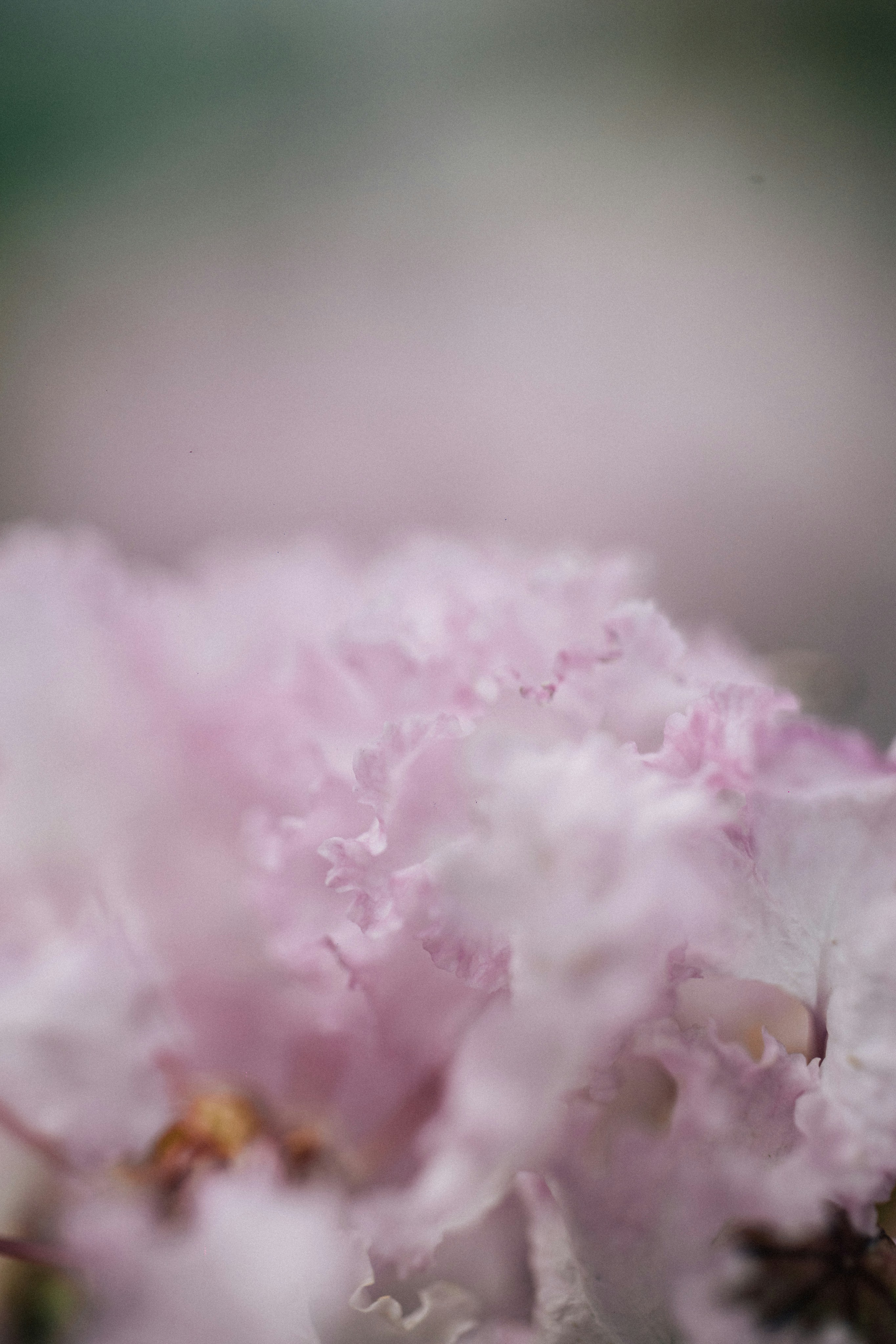 Photo by tsuyoshikozu