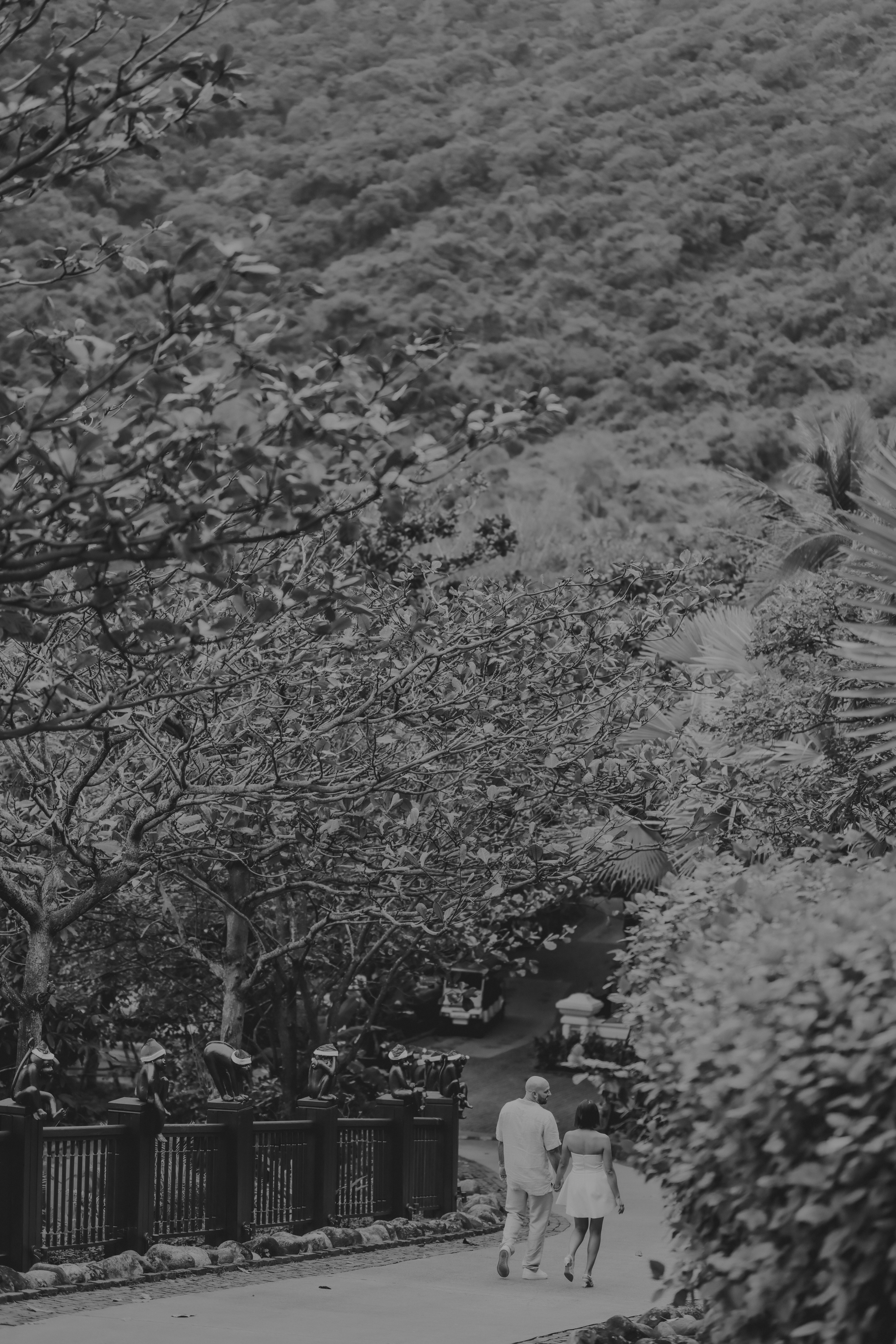 Photo by hoianphotographer