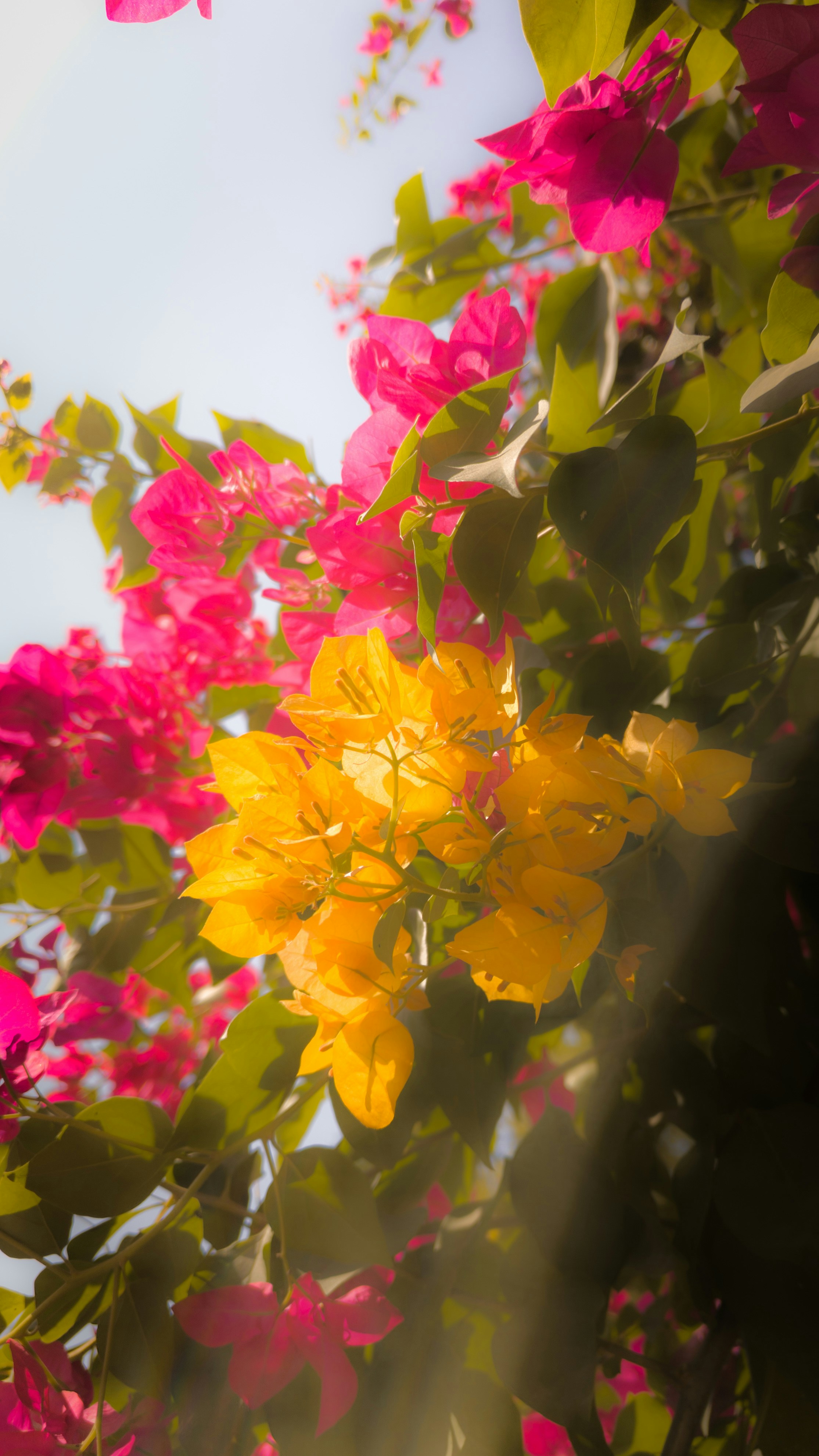 Photo by dipanshubhandekar