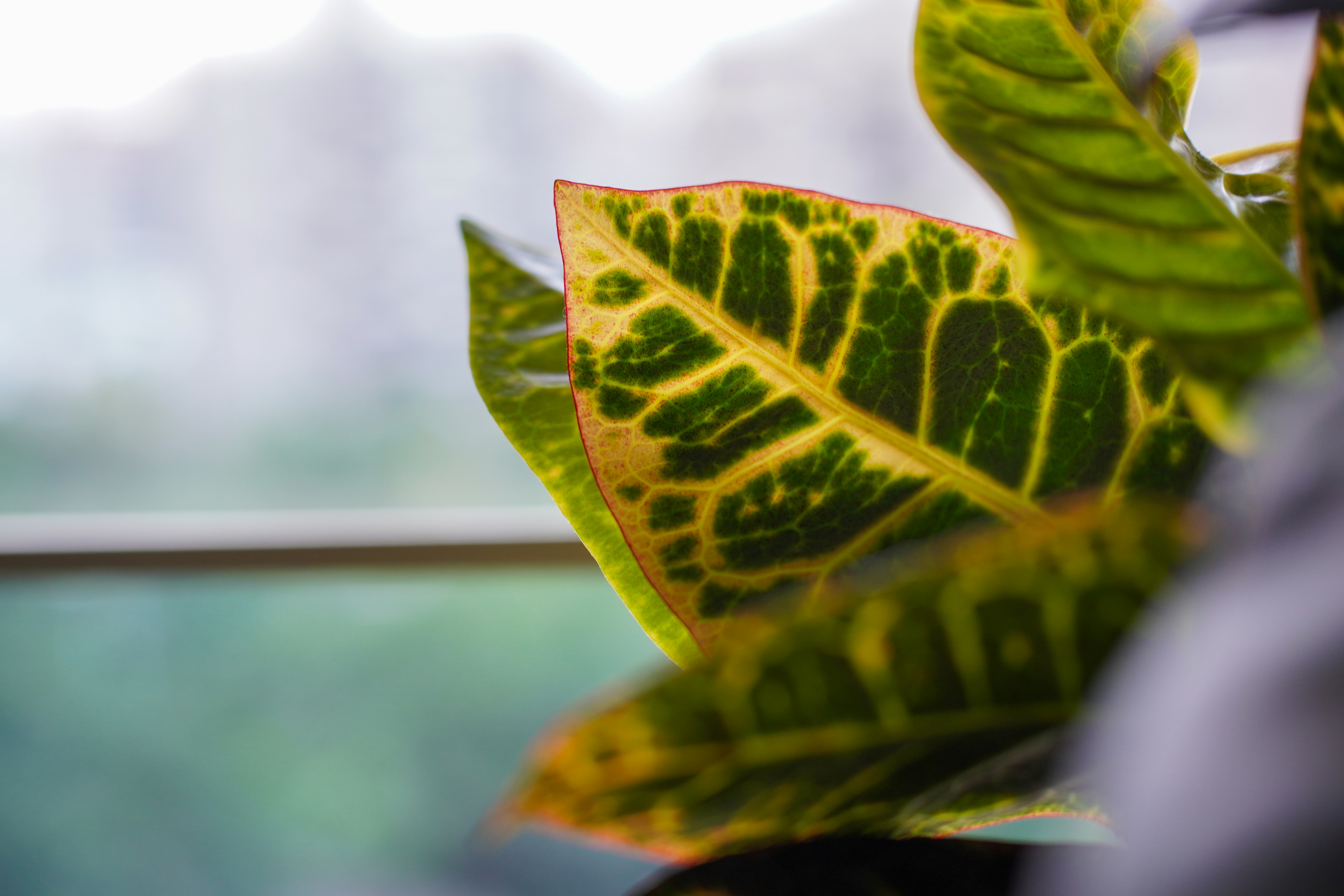 Photo by vaibhav_surana