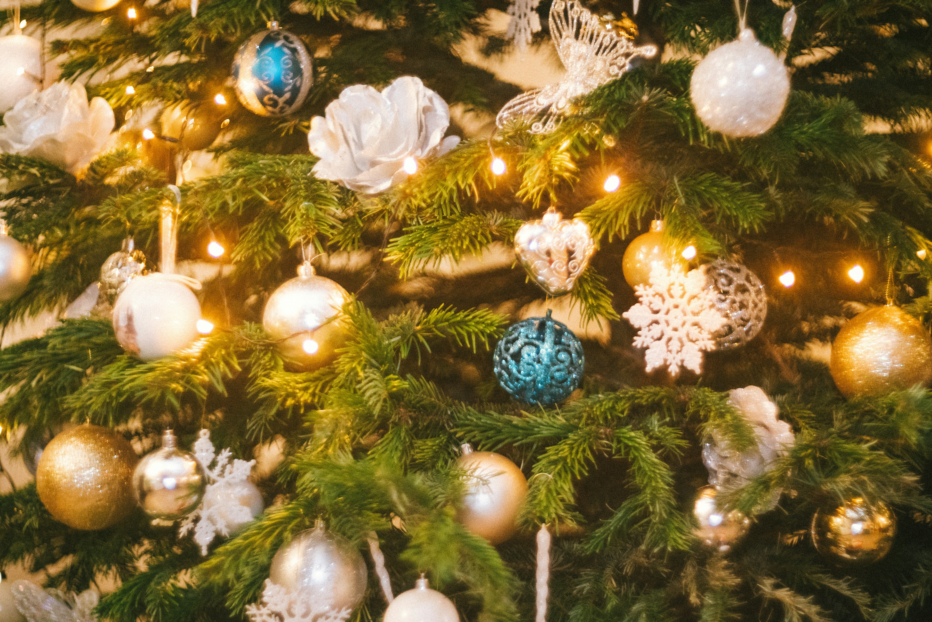 Decoré el árbol de Navidad con adornos y luces