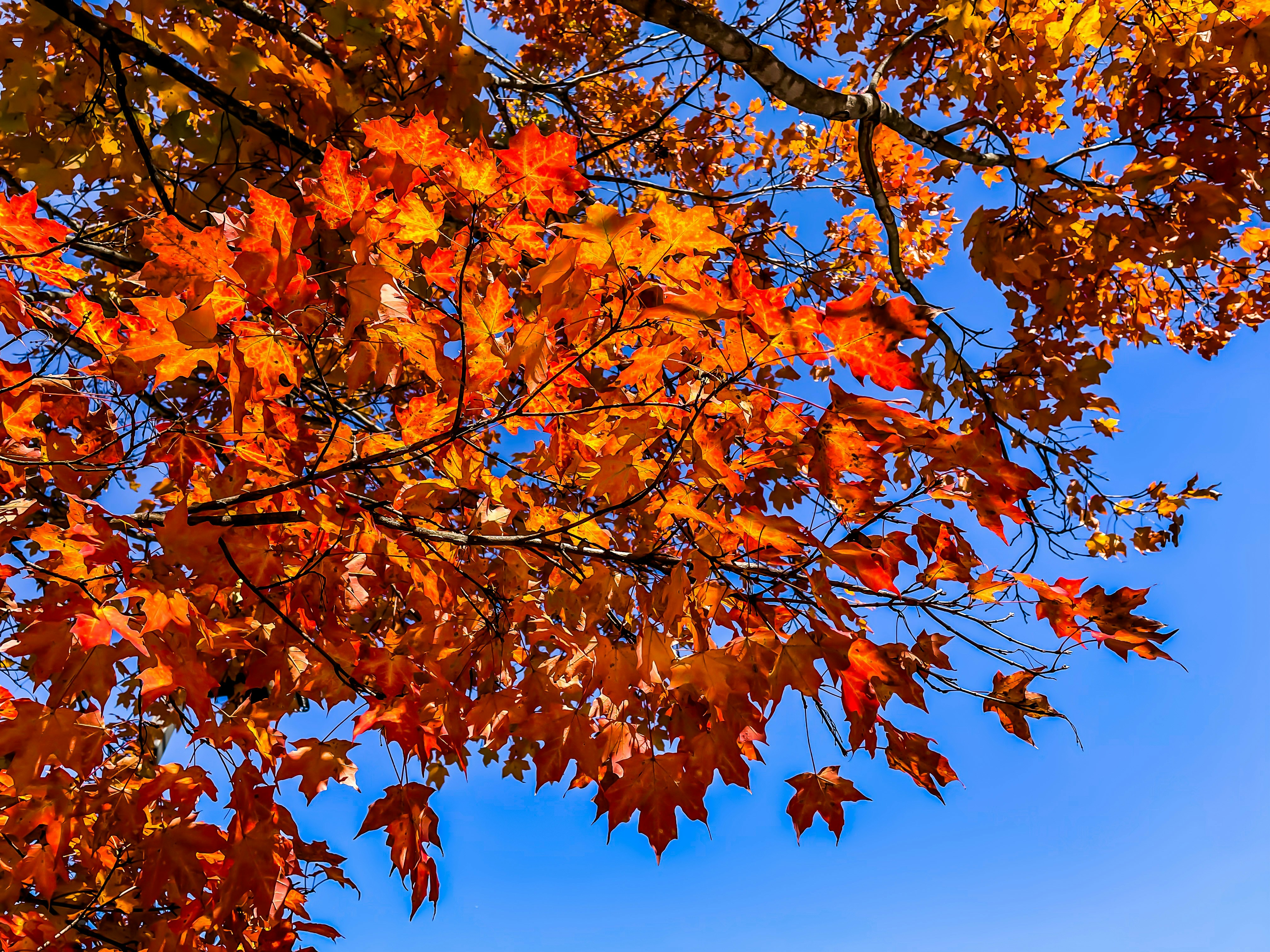 Photo by robinahoody