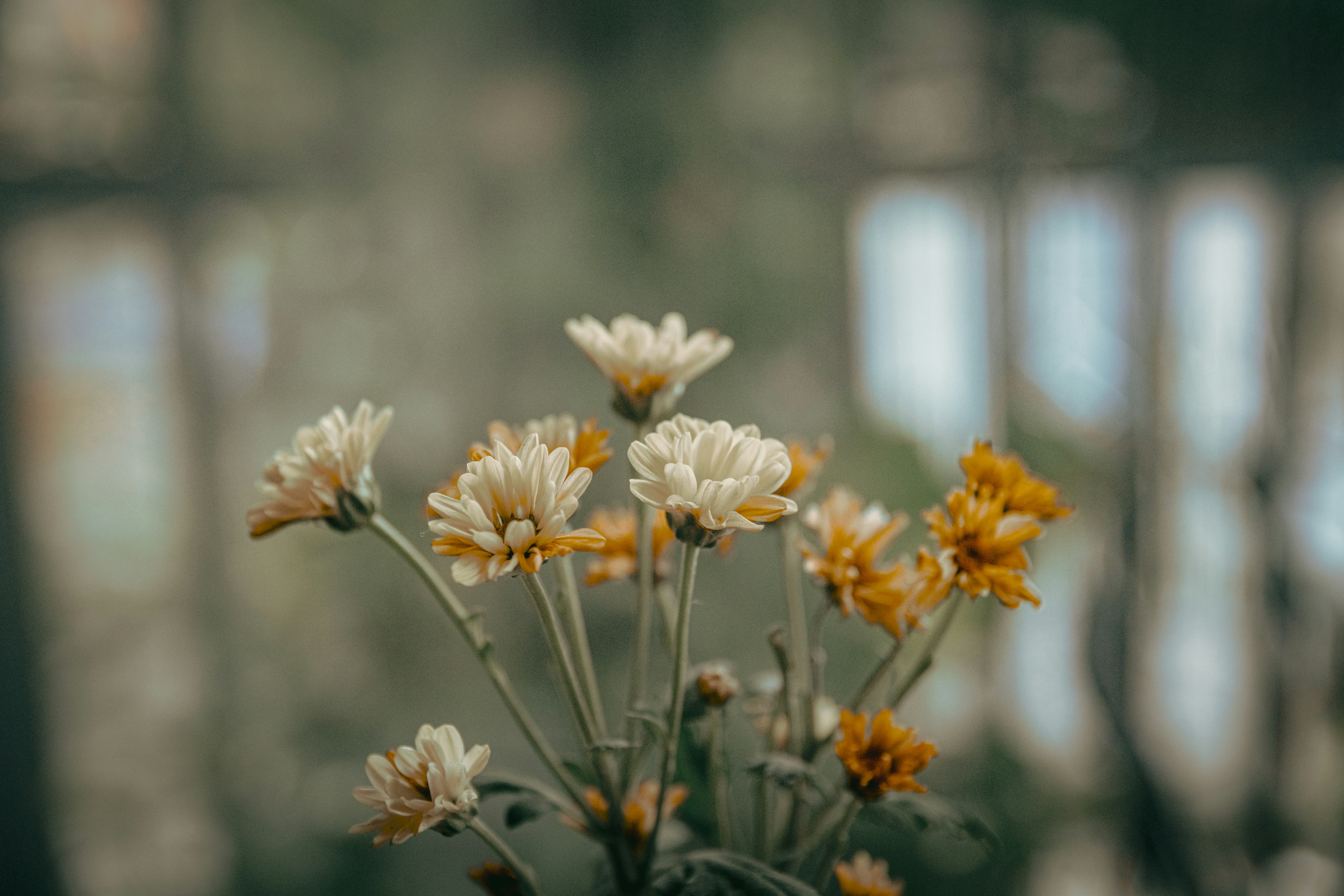 Photo by haungynphuc