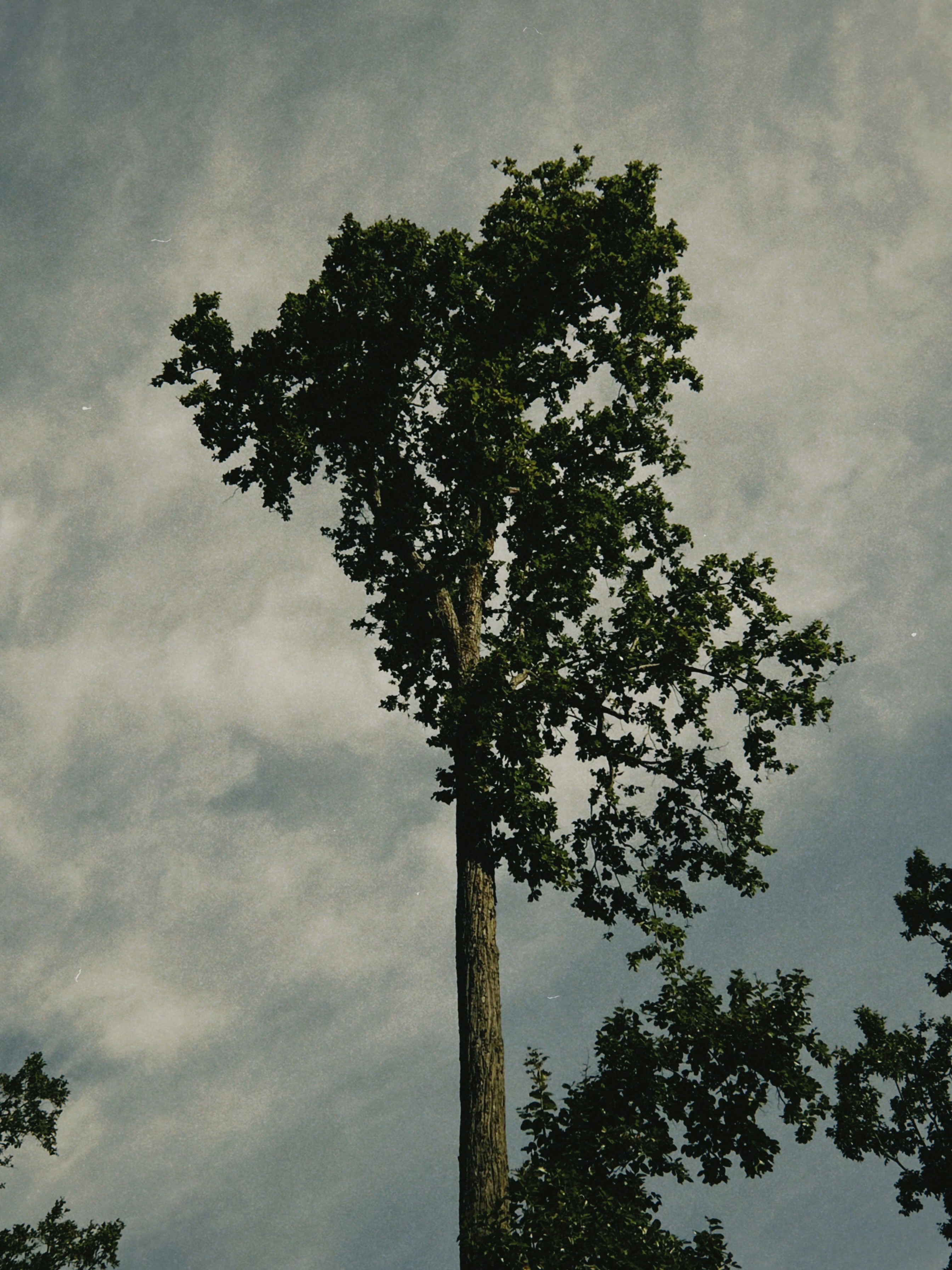 Photo by arnavsingh_