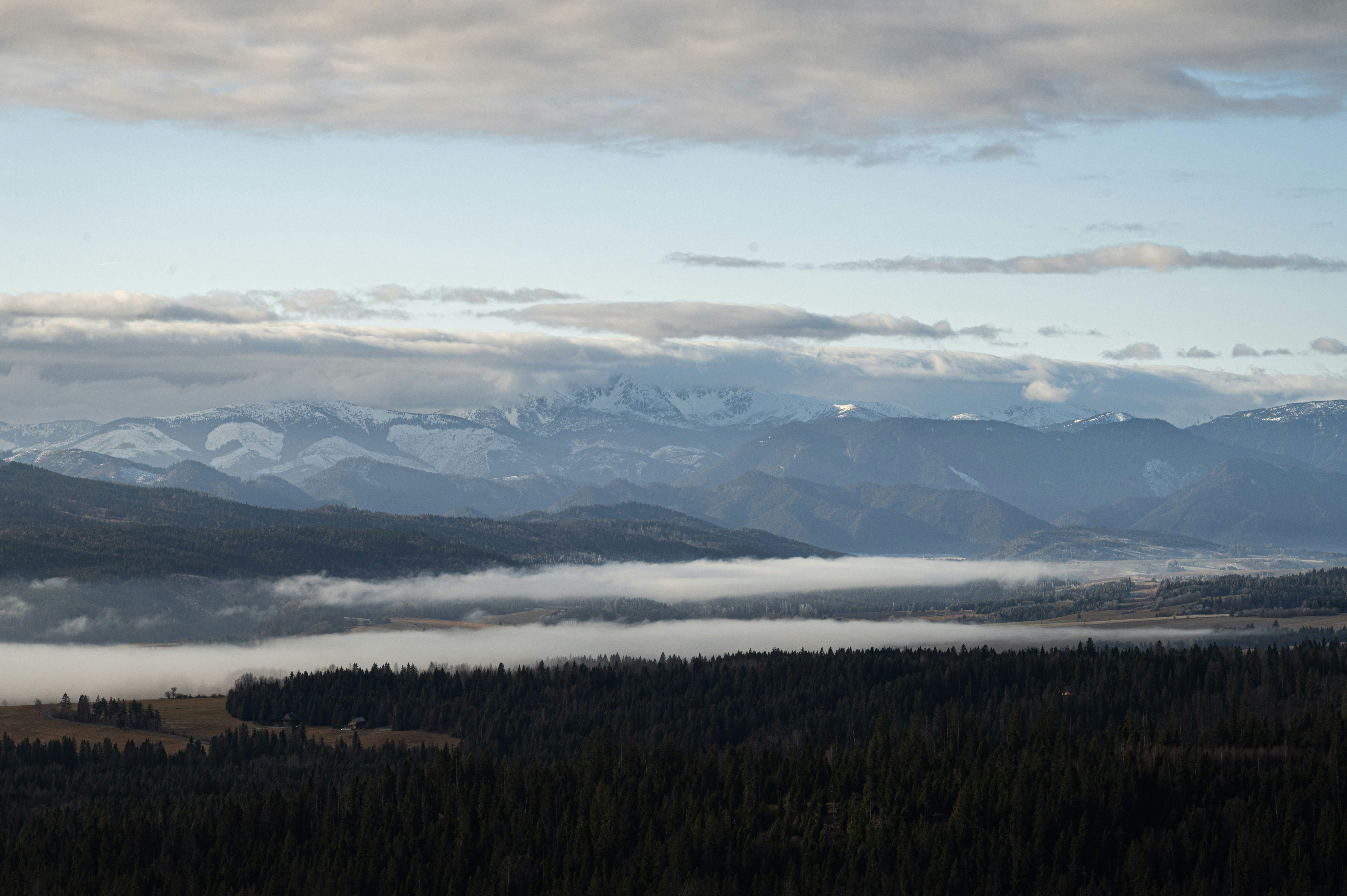 Misty valley with evergreen forest and distant mountains