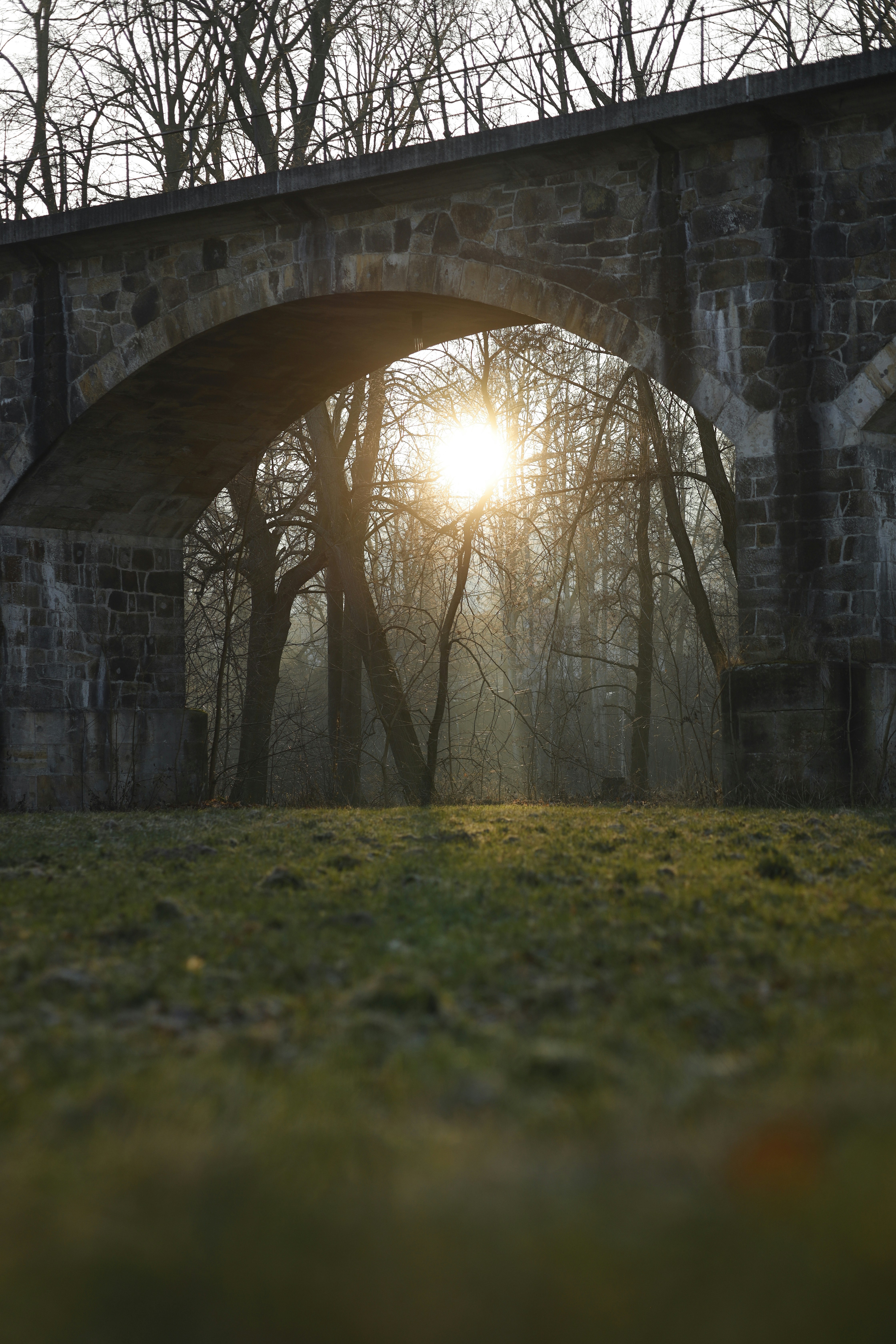 Sonnenlicht scheint durch die Bäume unter einem steinernen Torbogen.