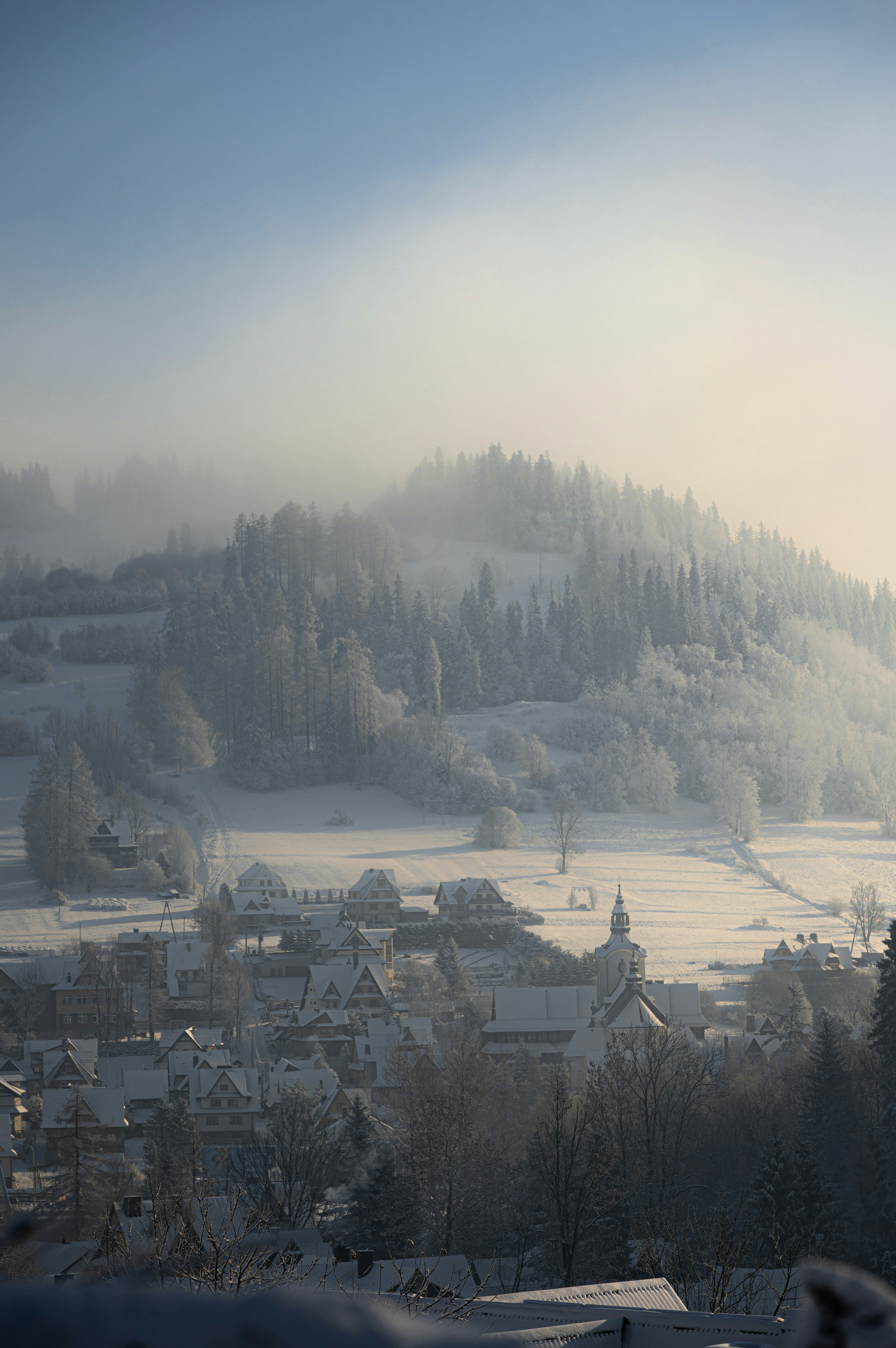 Photo by alexandra_p_d