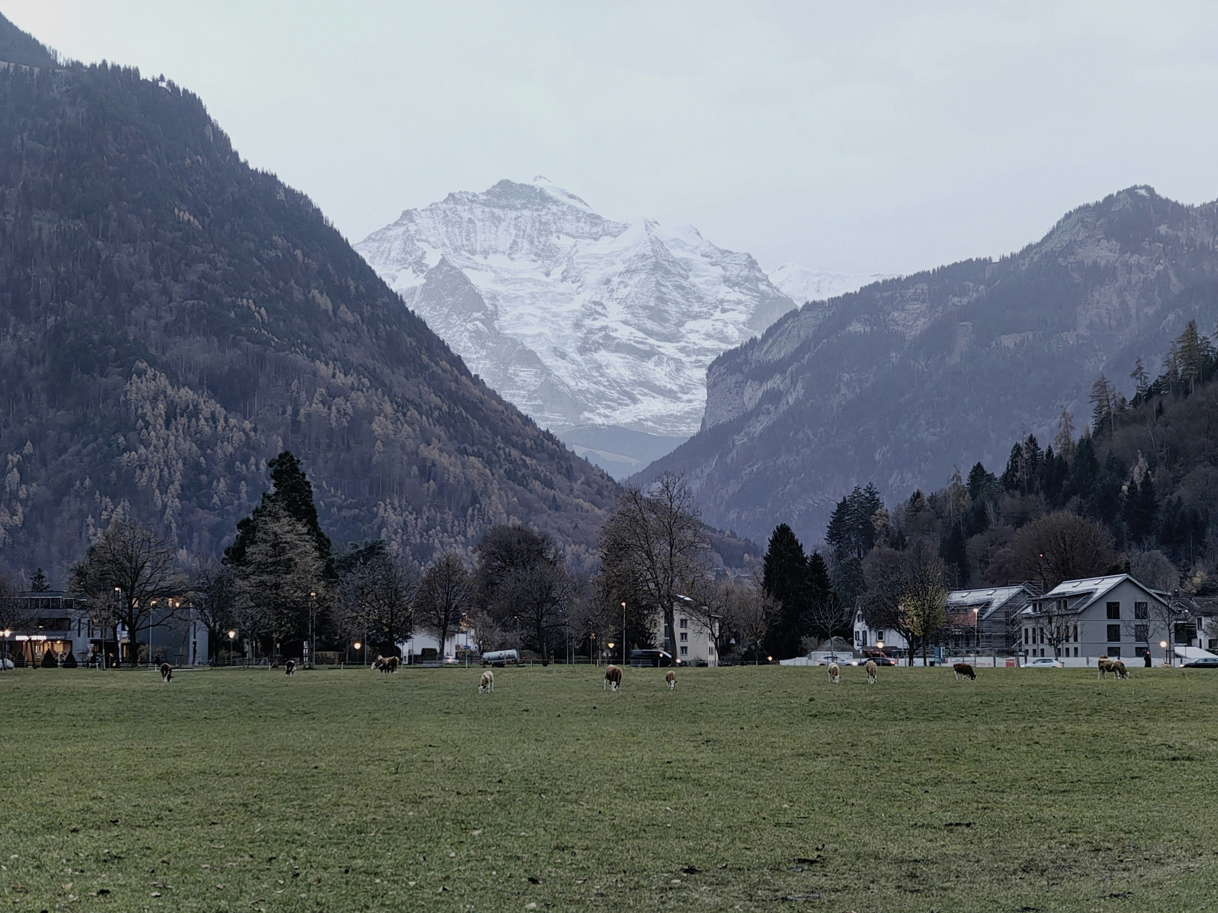 Snow-capped mountain peak above a valley village - Aletsch Arena