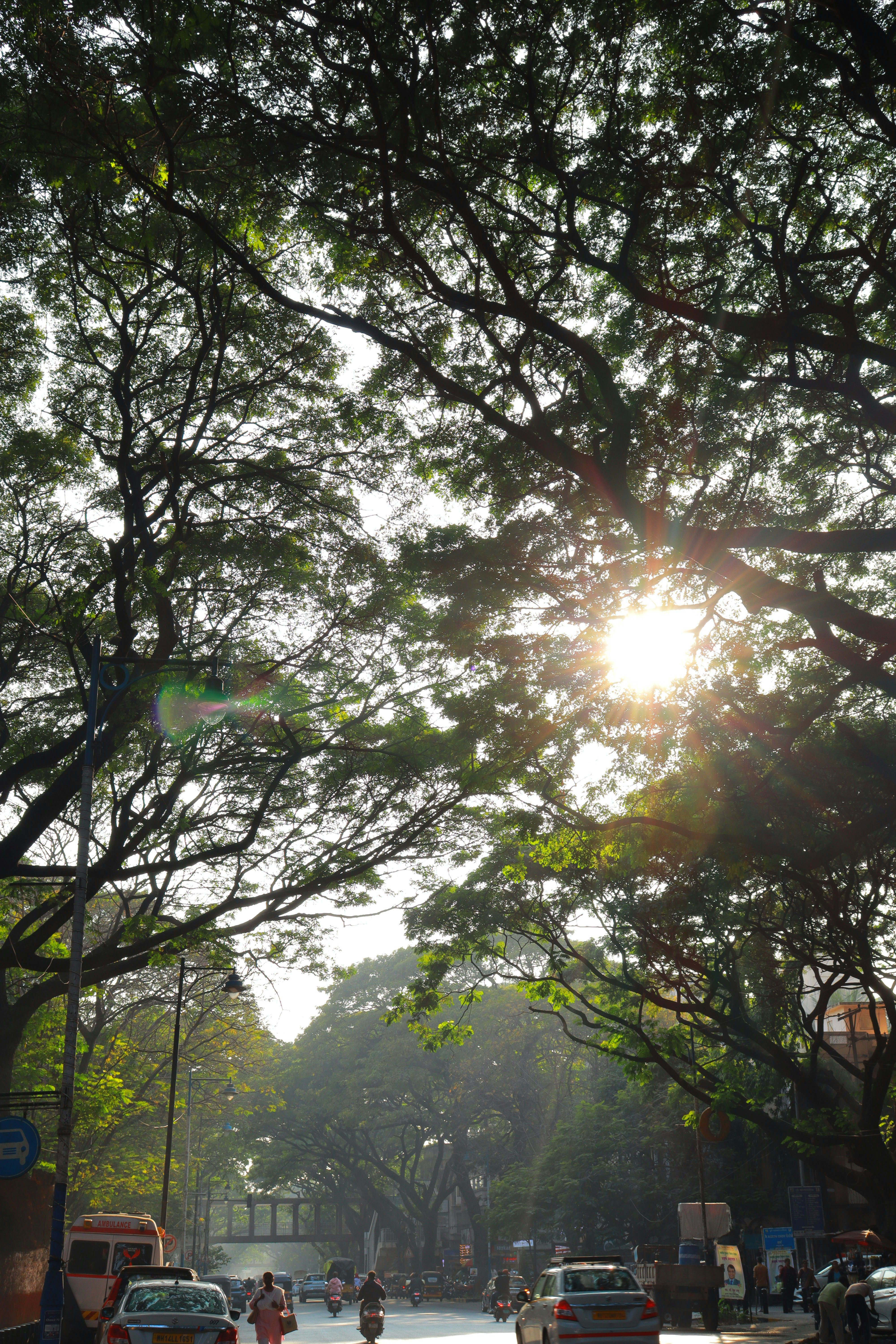 Photo by sarveshphansalkar_