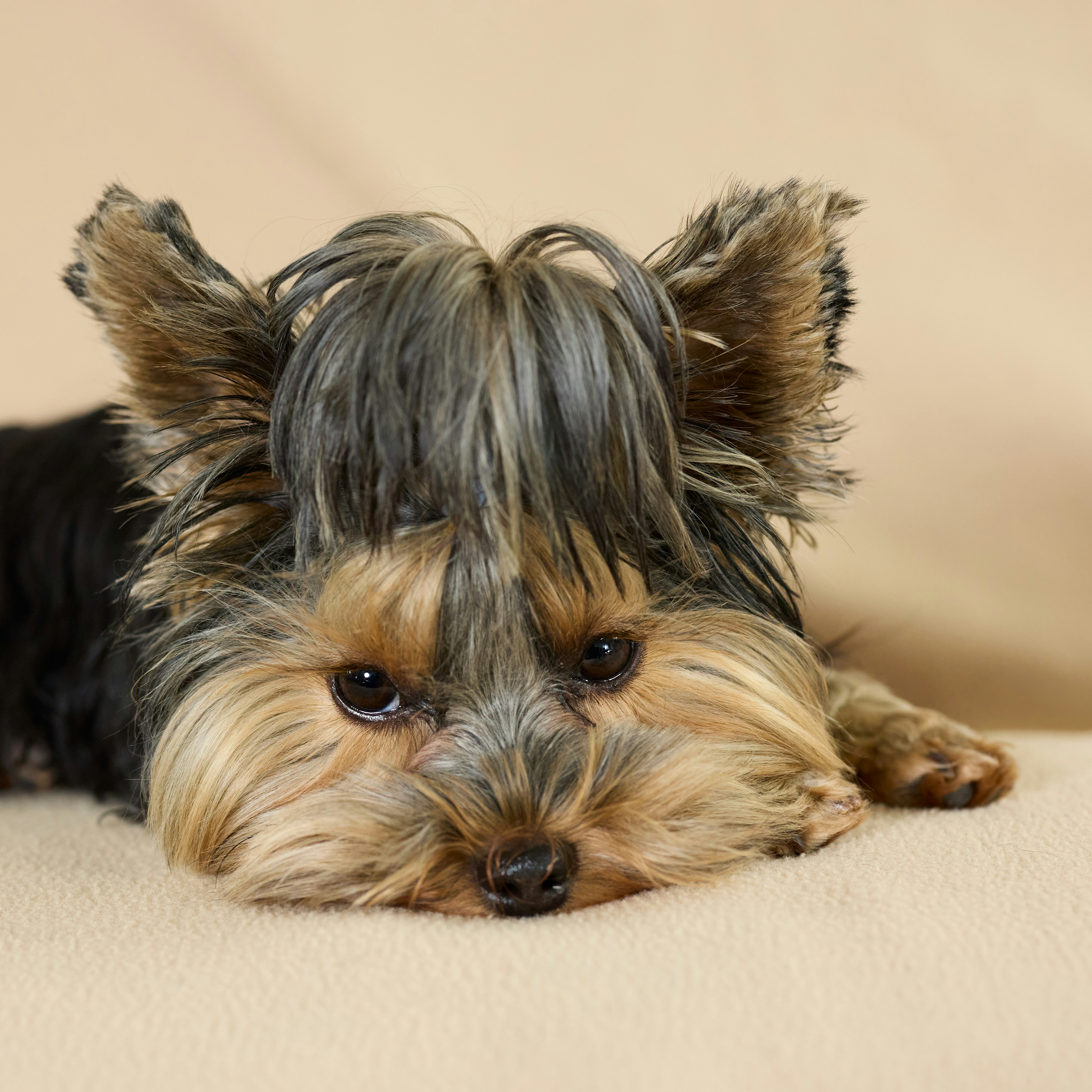 Photo by erwinbosman