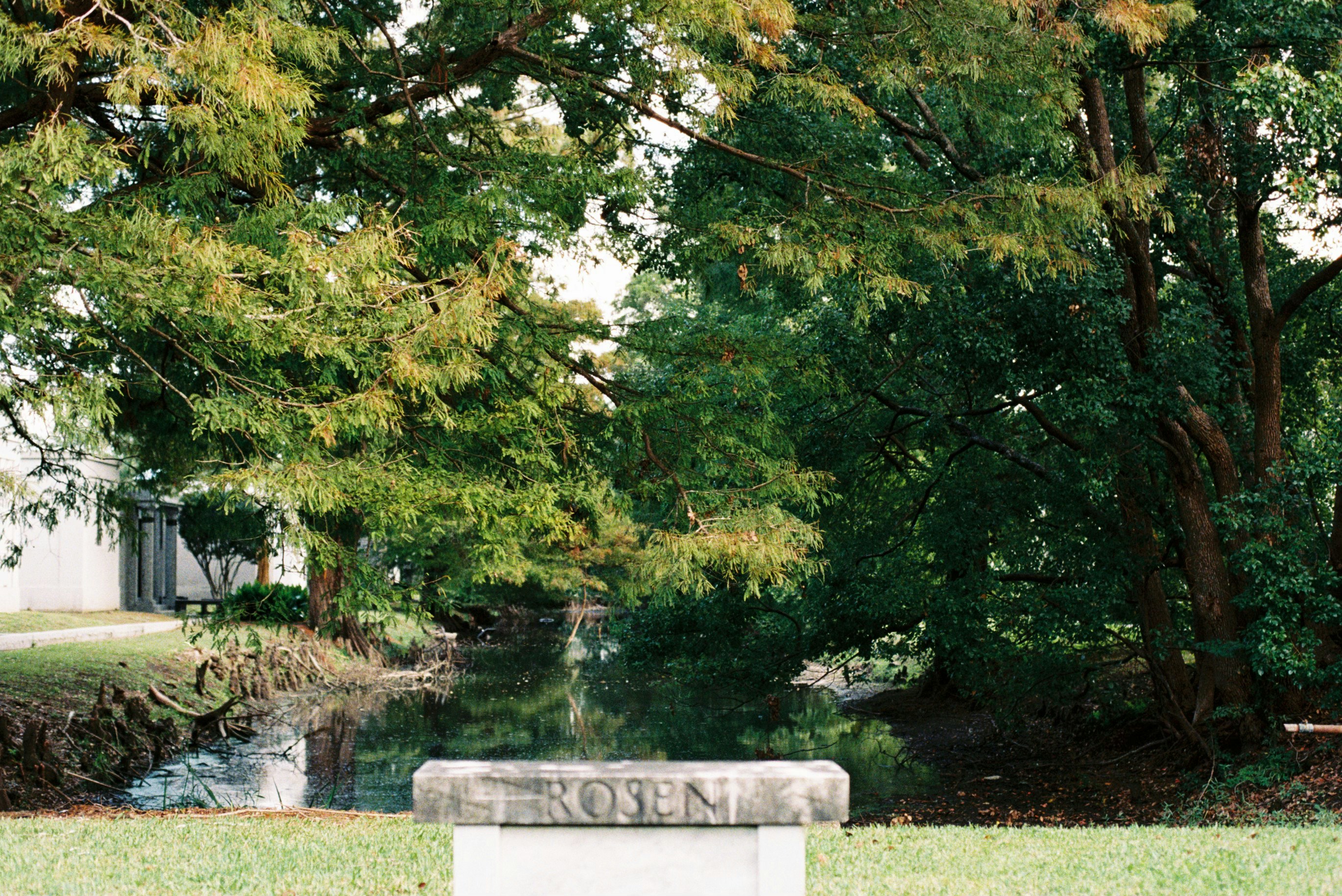 Photo by sashamatveeva