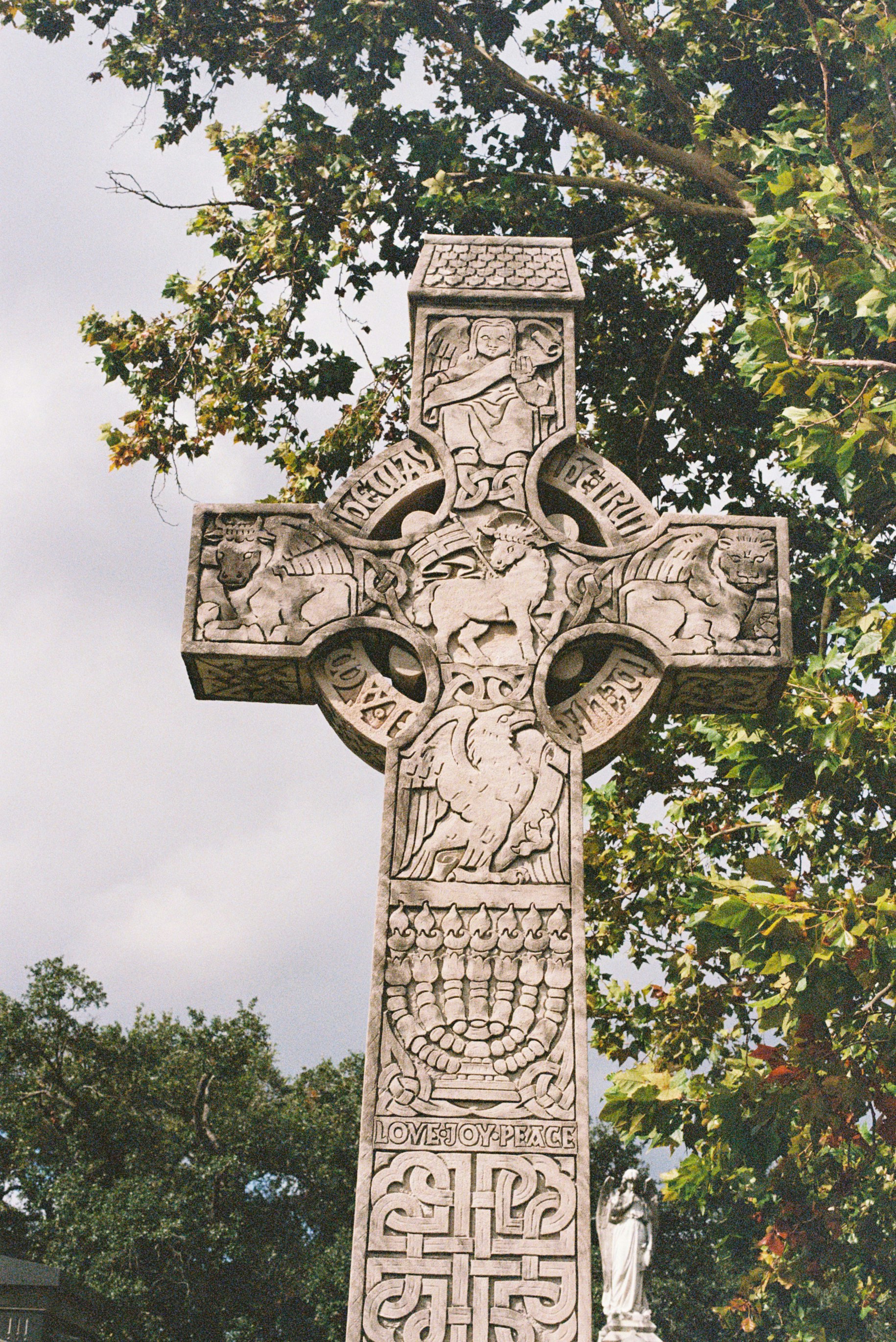 Photo by sashamatveeva