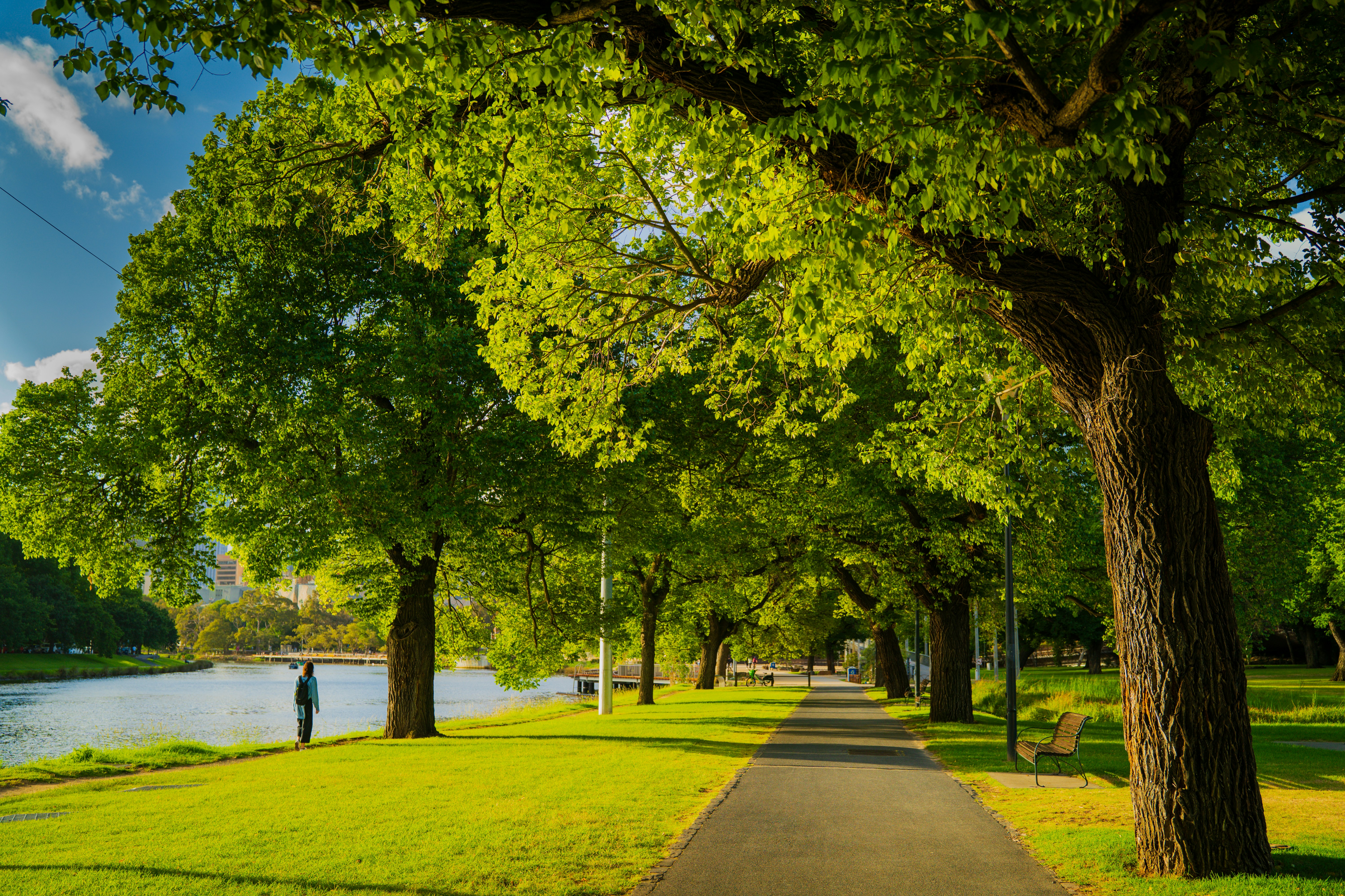 Photo by niko_nguyen_10