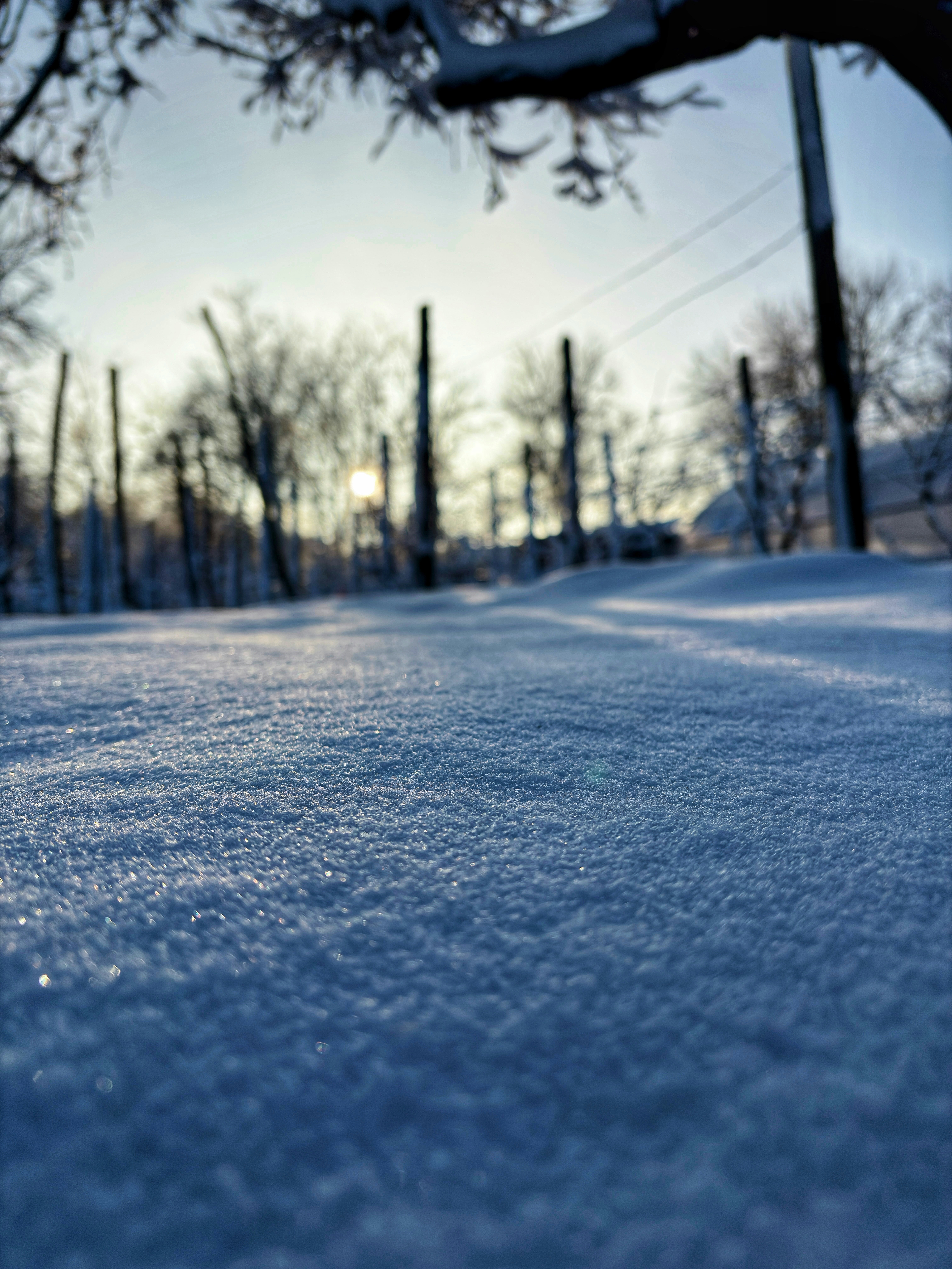 Photo by danielbalaure