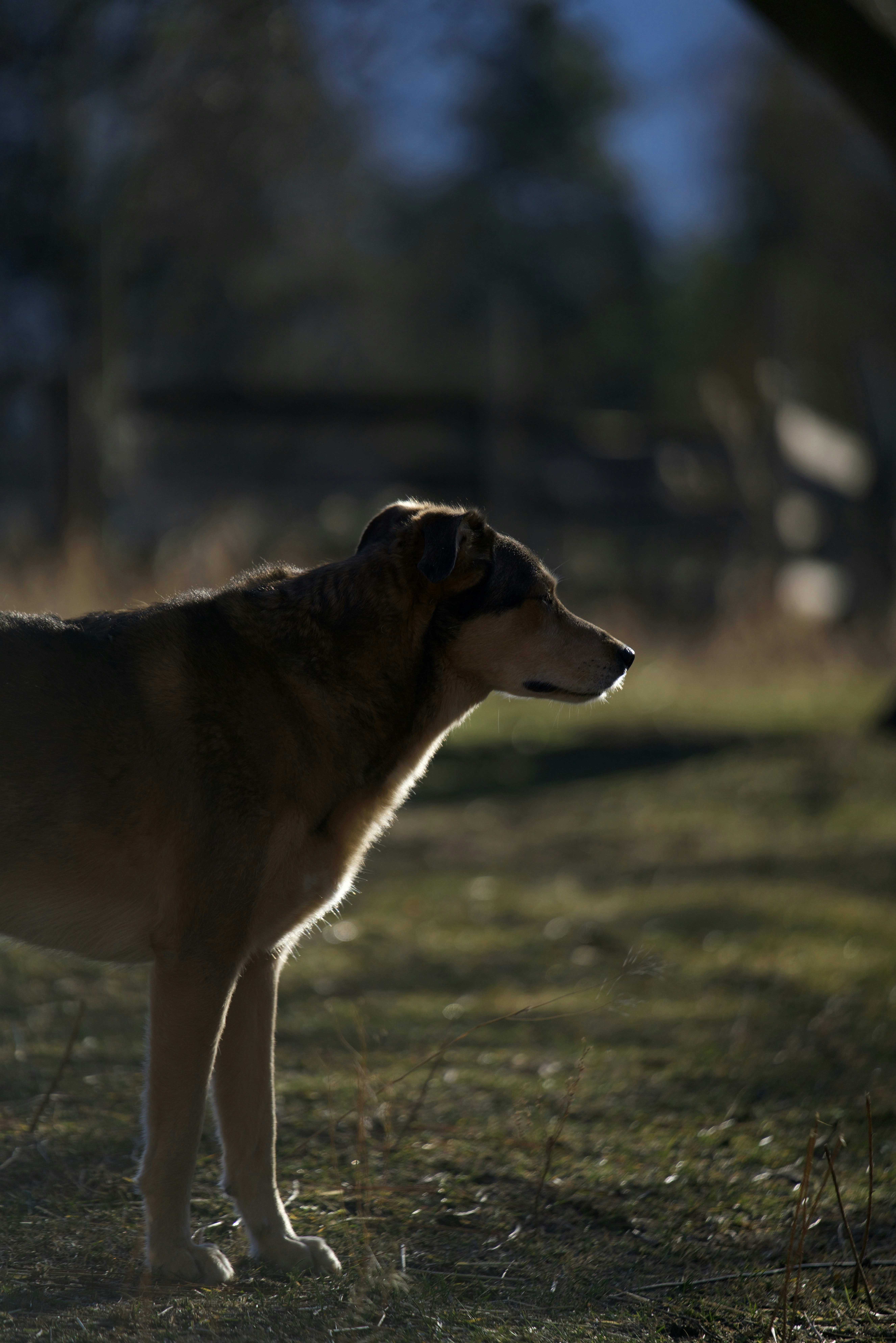 Photo by nathaniel2010