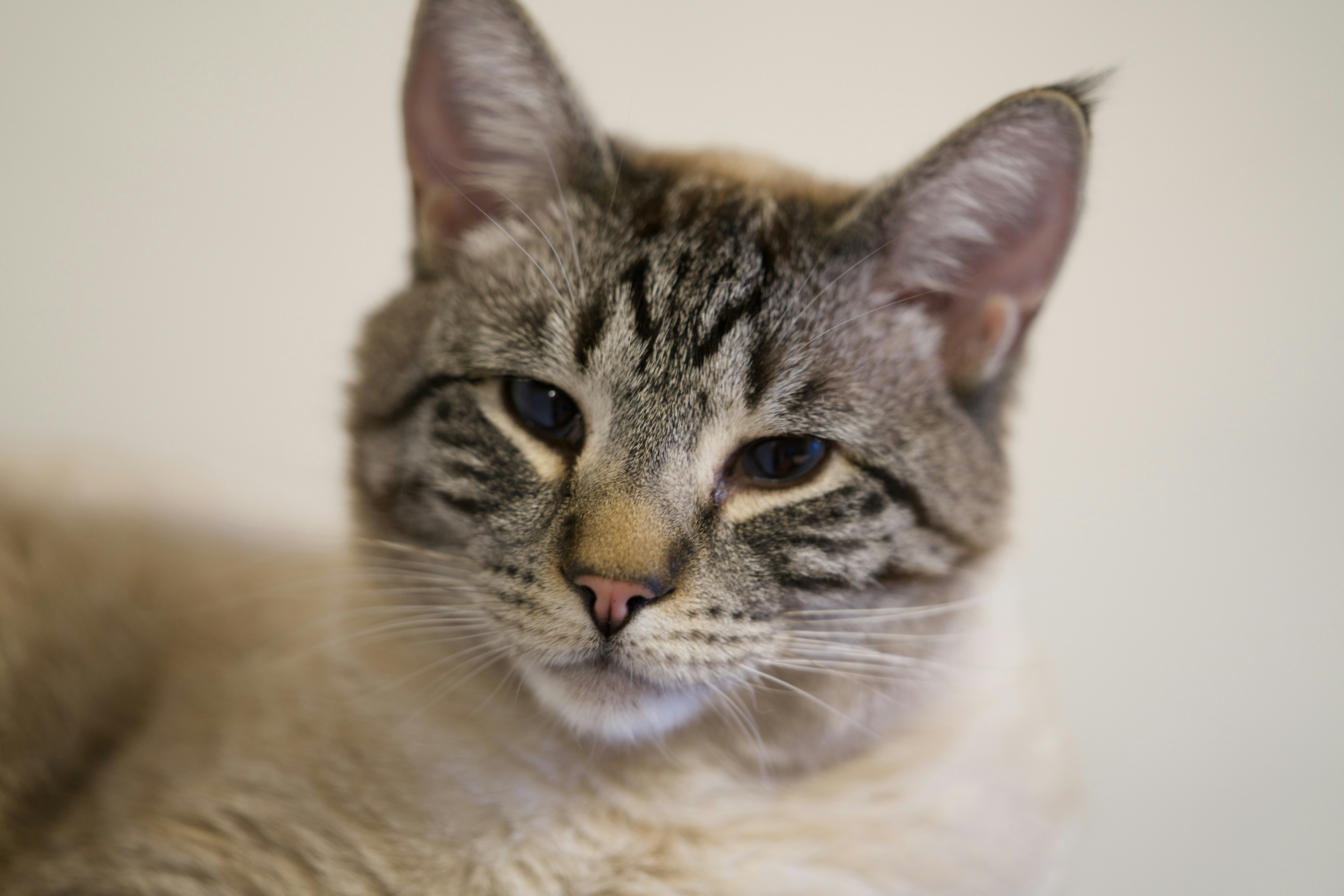 Photo by nathaniel2010